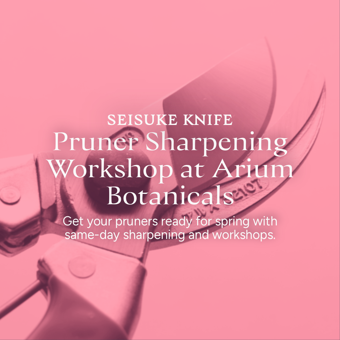 Pruner Sharpening Workshop at Arium Botanicals - Seisuke Knife