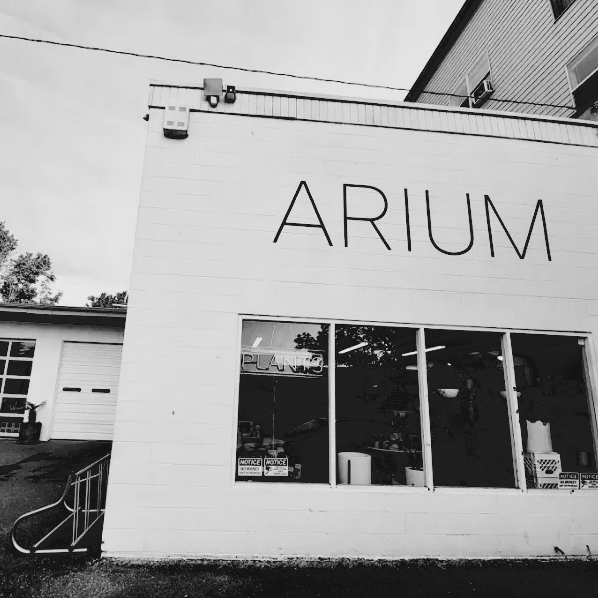 Pruner Sharpening Workshop at Arium Botanicals - Seisuke Knife