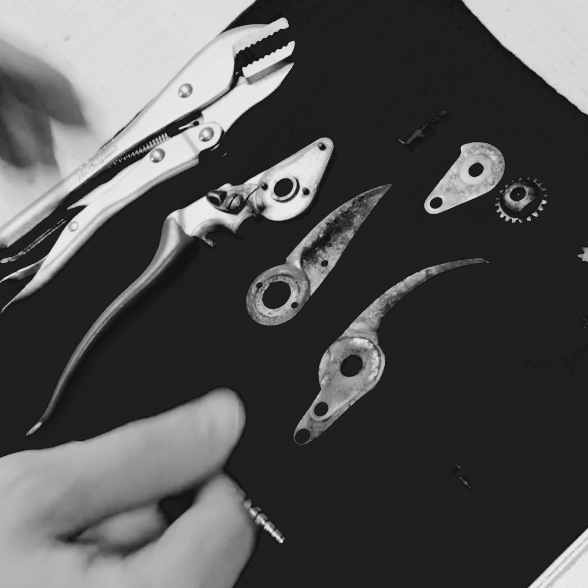 Pruner Sharpening Workshop at Arium Botanicals - Seisuke Knife