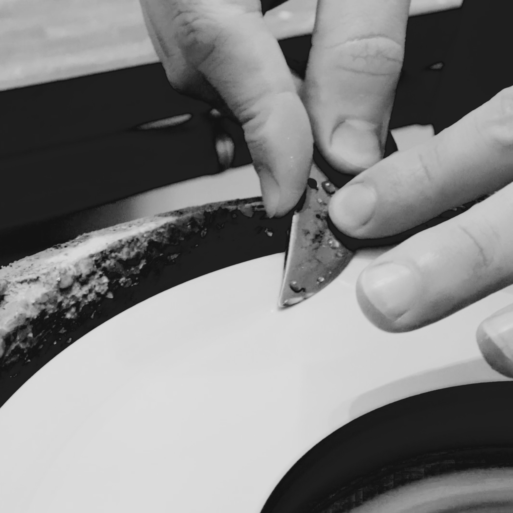 Pruner Sharpening Workshop at Arium Botanicals - Seisuke Knife