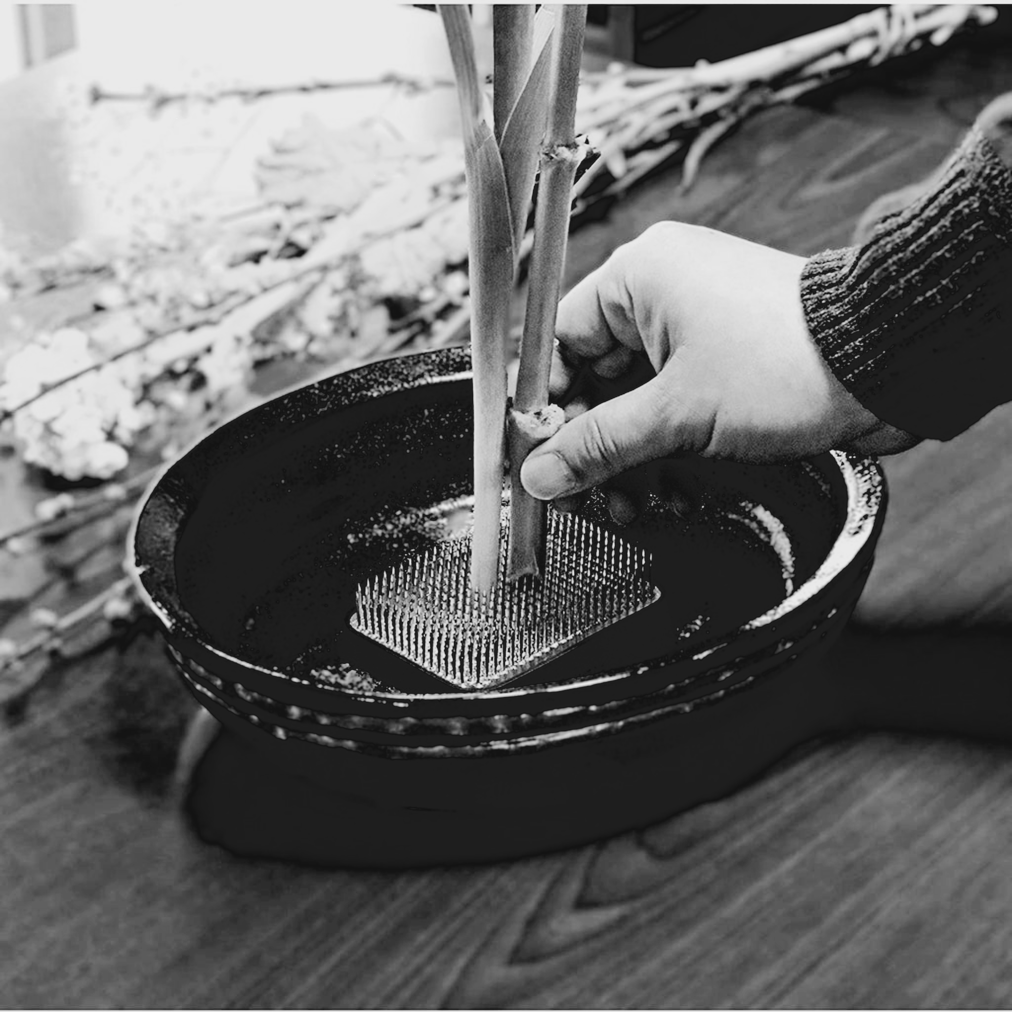 Mother's Day Ikebana Workshop