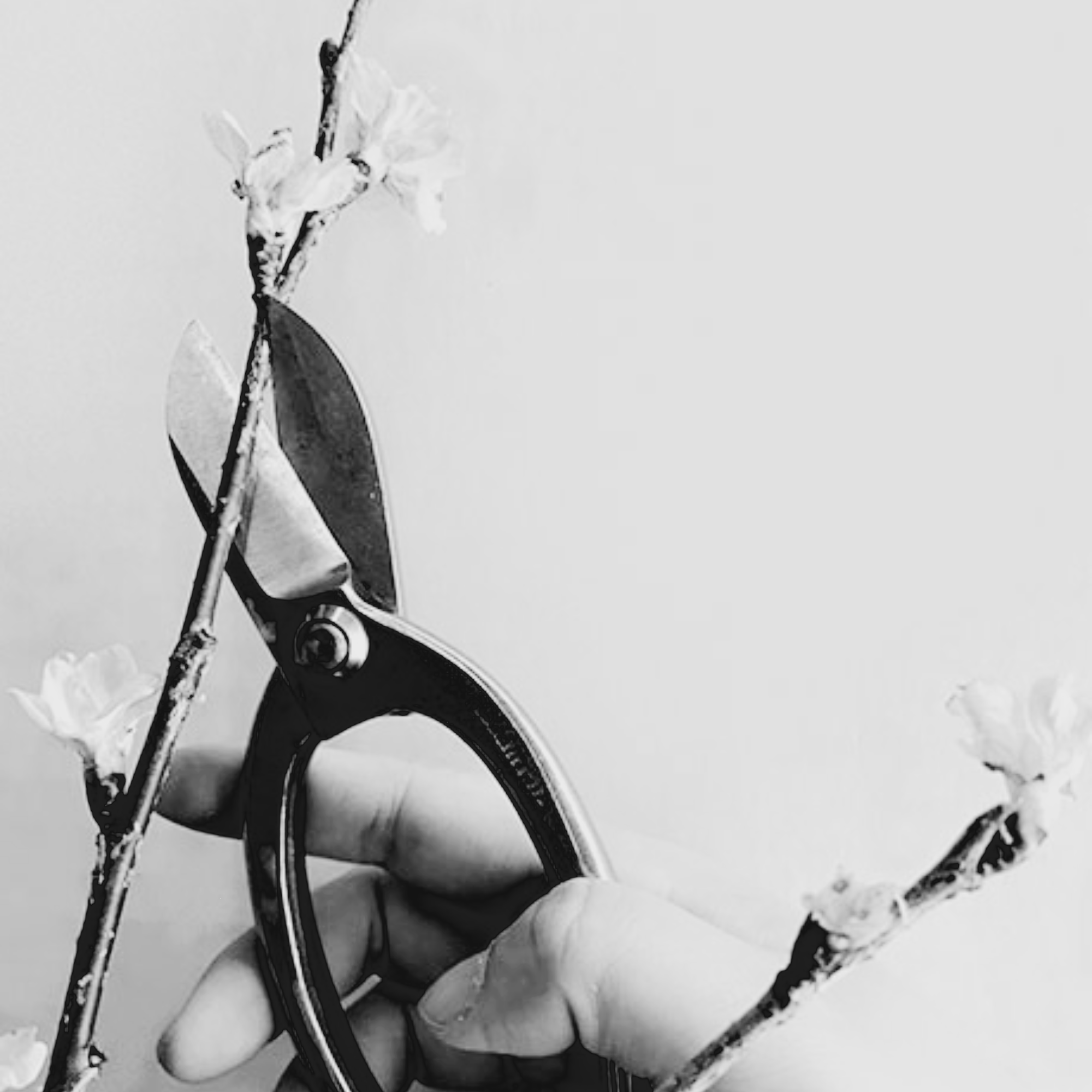Mother's Day Ikebana Workshop