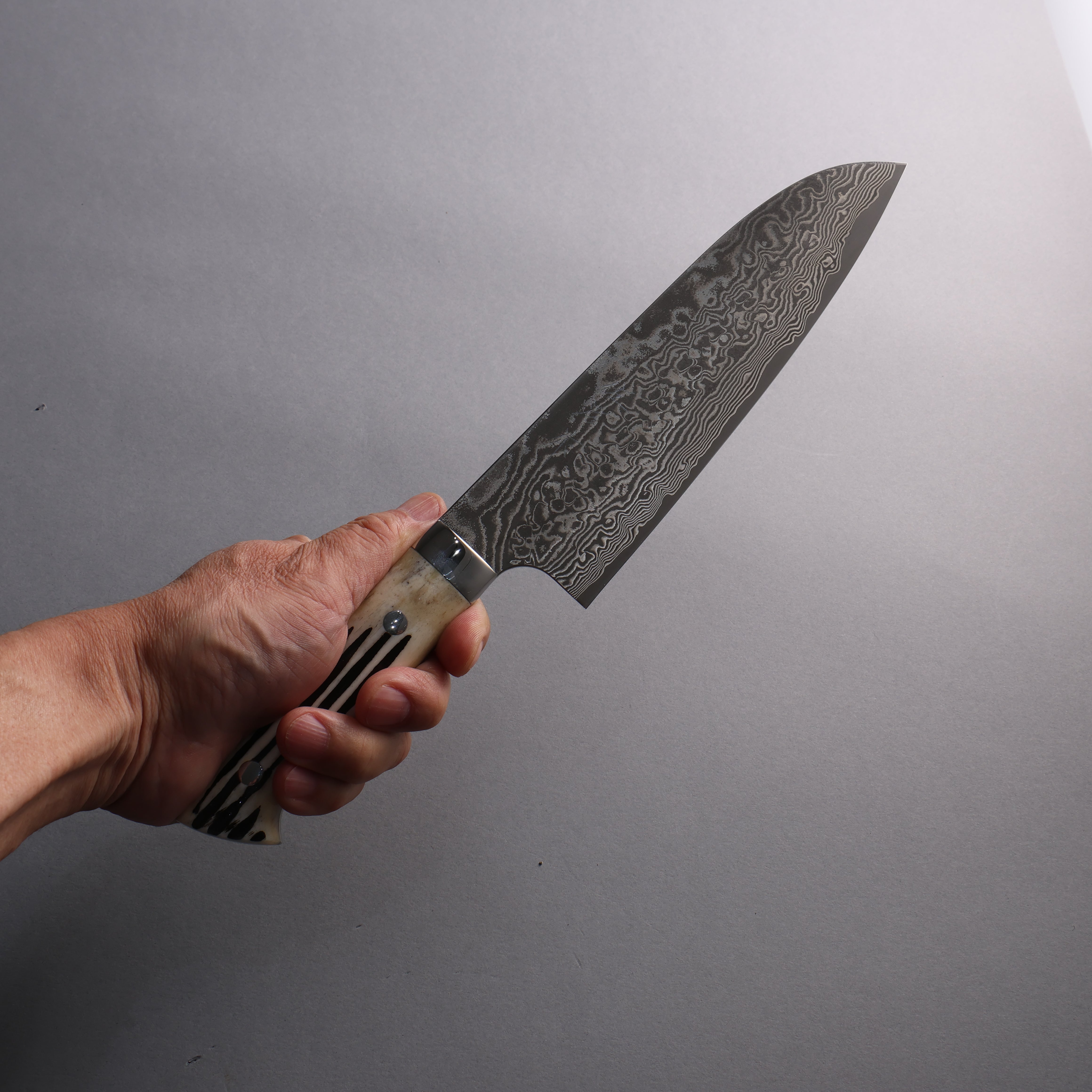 Takeshi Saji SG2 Black Damascus Santoku 180mm White Deer Horn Handle - Seisuke Knife