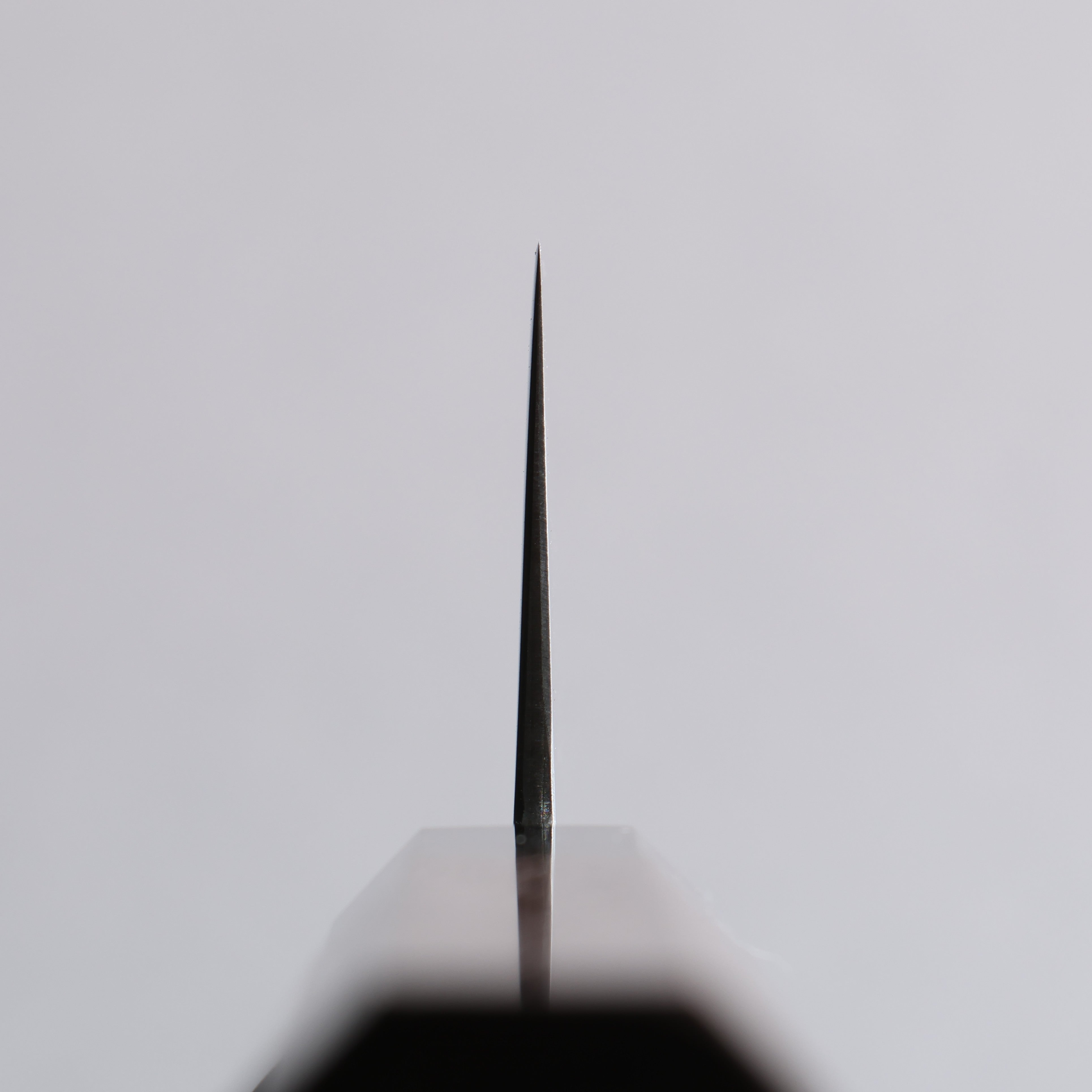 Seisuke SG2 Gyuto 210mm Wenge Handle - Seisuke Knife