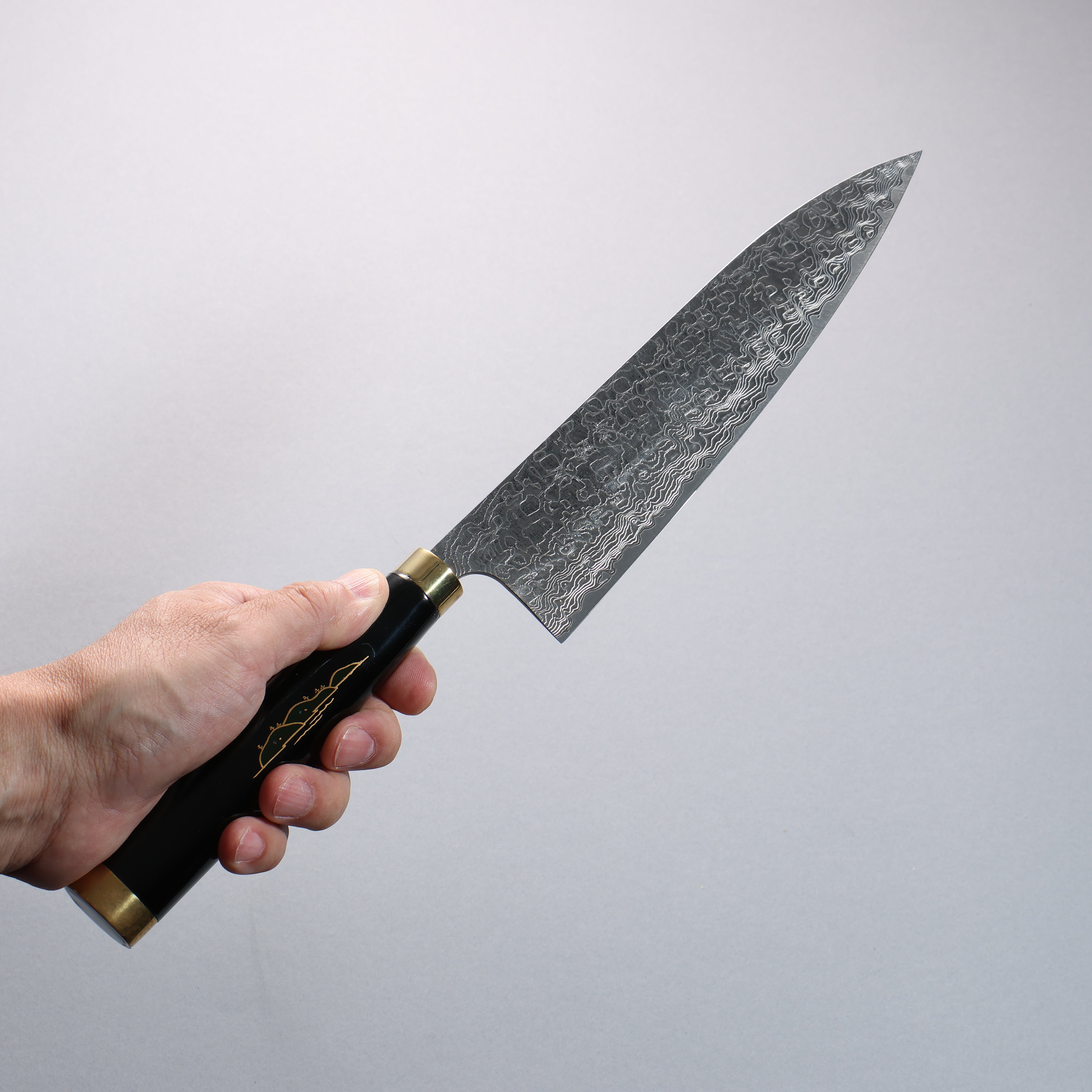 Takeshi Saji SG2 Diamond Finish Damascus Gyuto 210mm Maki-e Art Fuji Handle with Sheath - Seisuke Knife