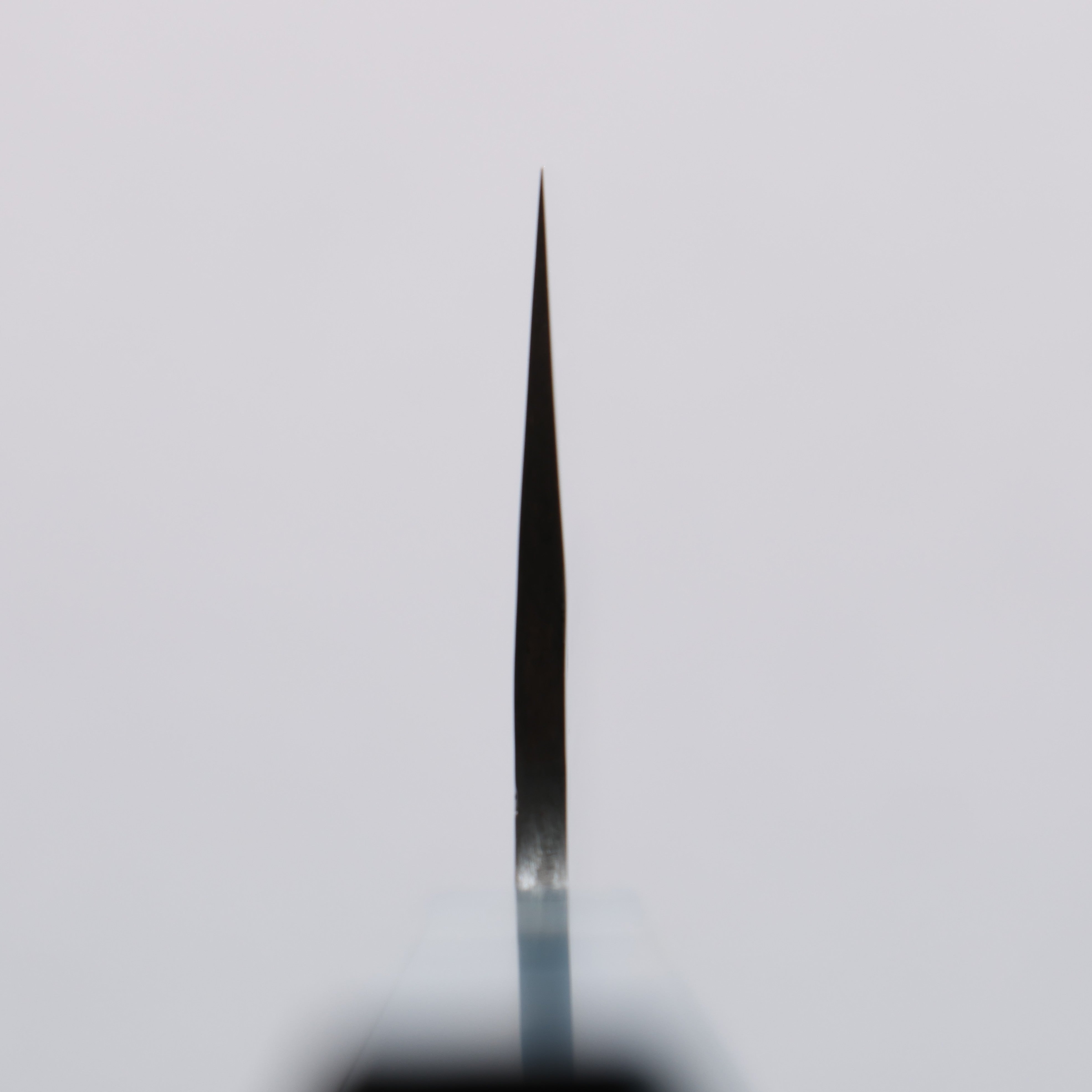 Takeshi Saji SPG STRIX Hammered Migaki Finished Nakiri 165mm Blue Stabilized Wood (with White and Black Ring) Handle - Seisuke Knife