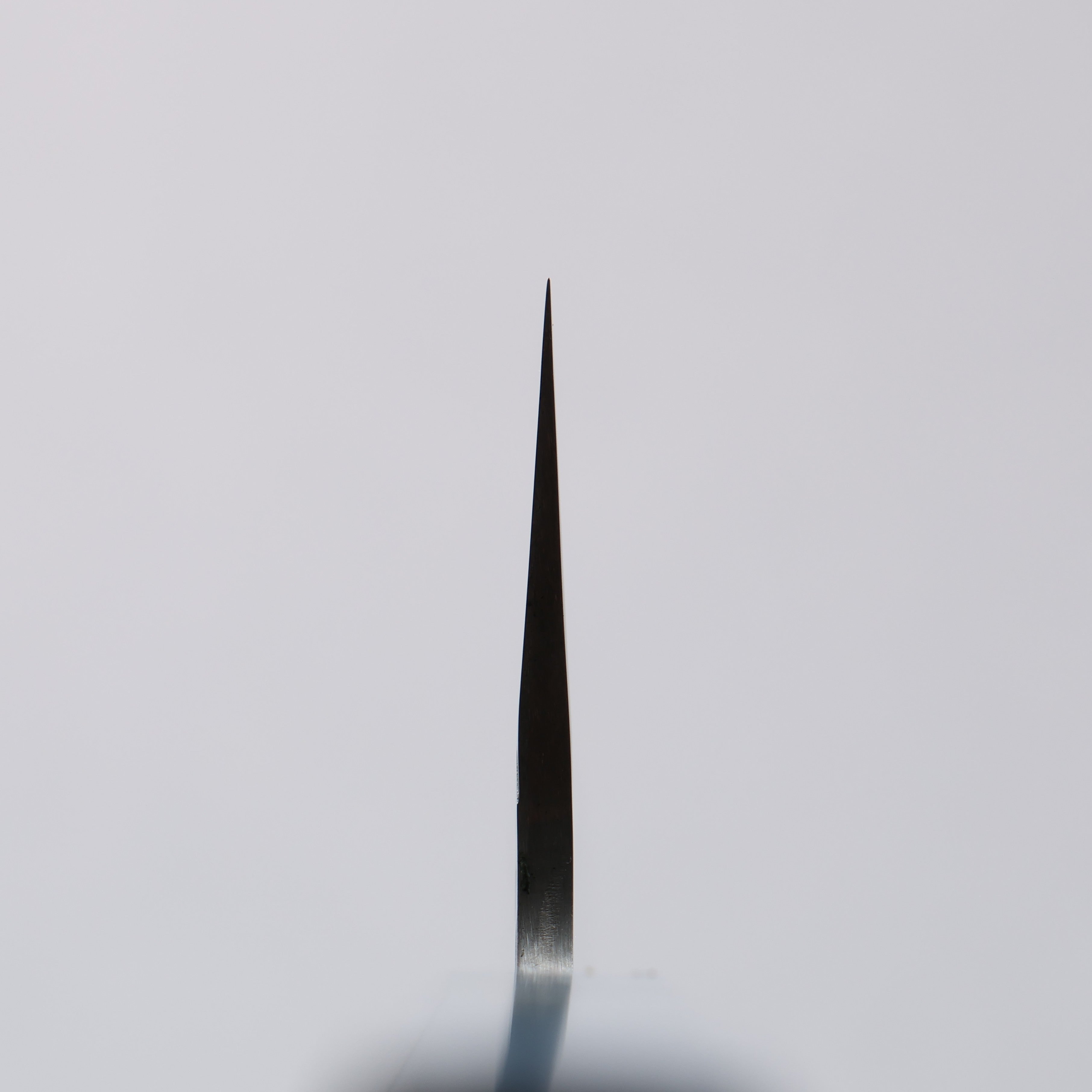 Takeshi Saji SPG STRIX Hammered Migaki Finished Gyuto 210mm Blue Stabilized Wood (with White and Black Ring) Handle - Seisuke Knife