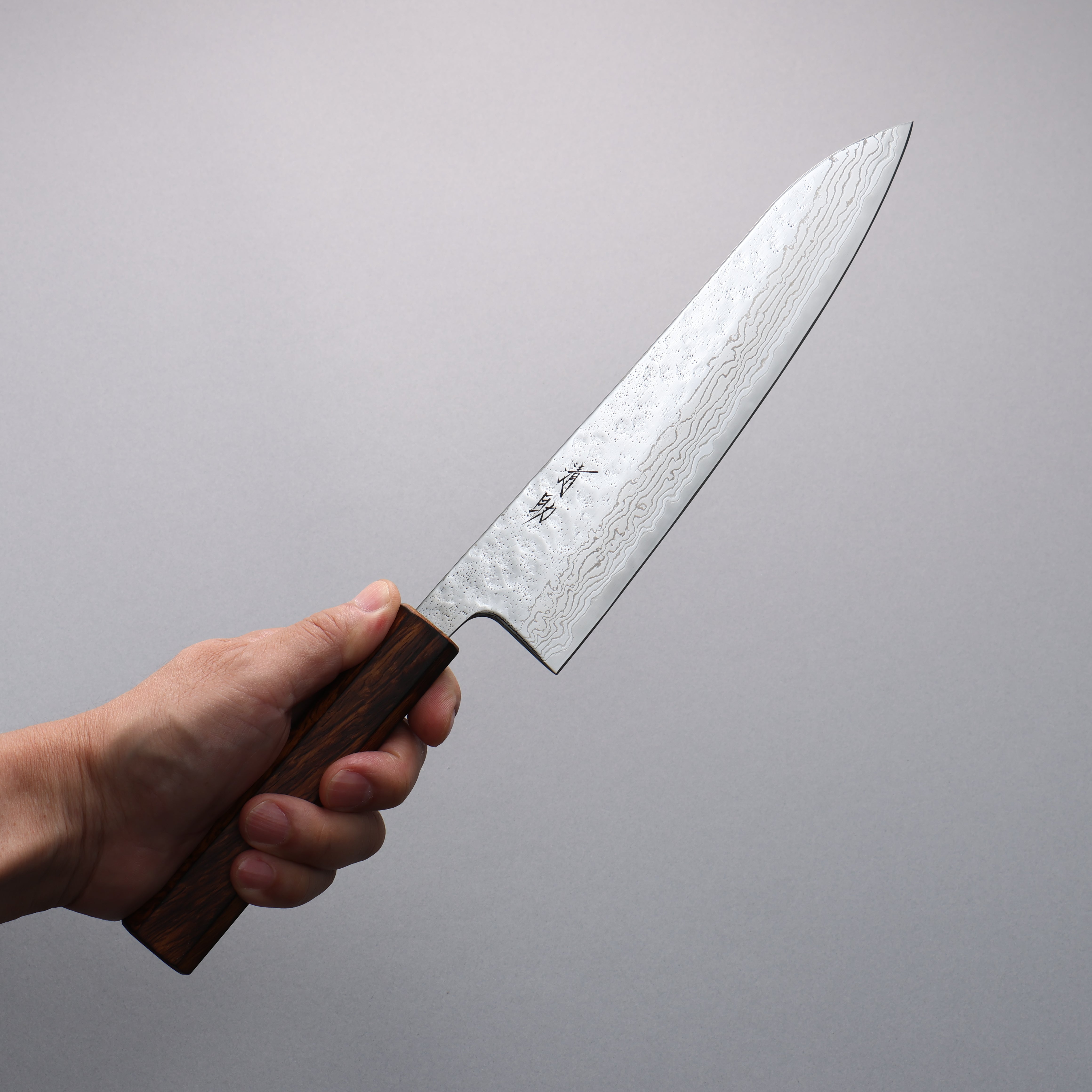 Seisuke Stainless Steel 440C Hammered Damascus Migaki Finished Gyuto 210mm Oak Handle - Seisuke Knife