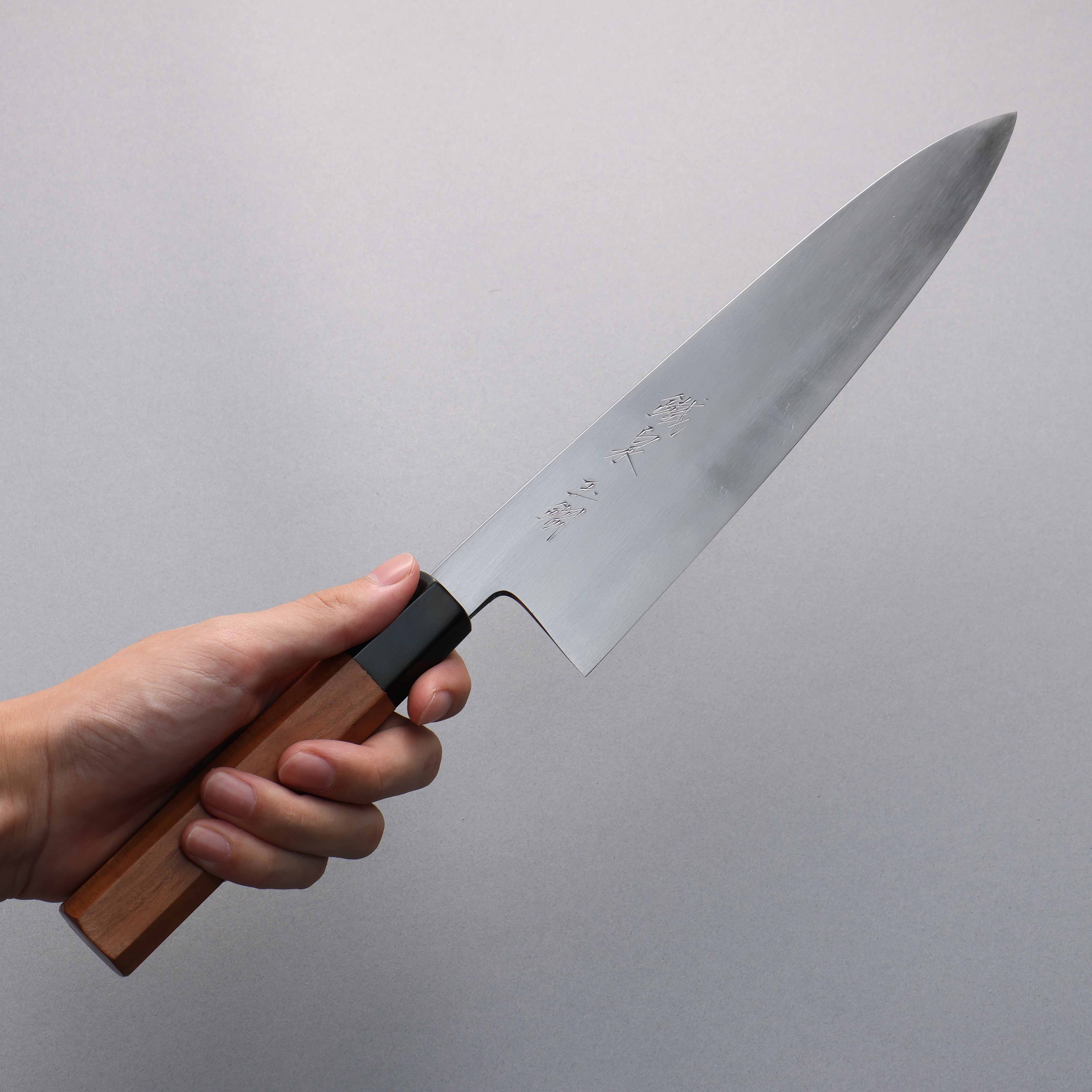 Tessen by Tanaka Tamahagane Gyuto 240mm Wild Cherry Handle - Seisuke Knife