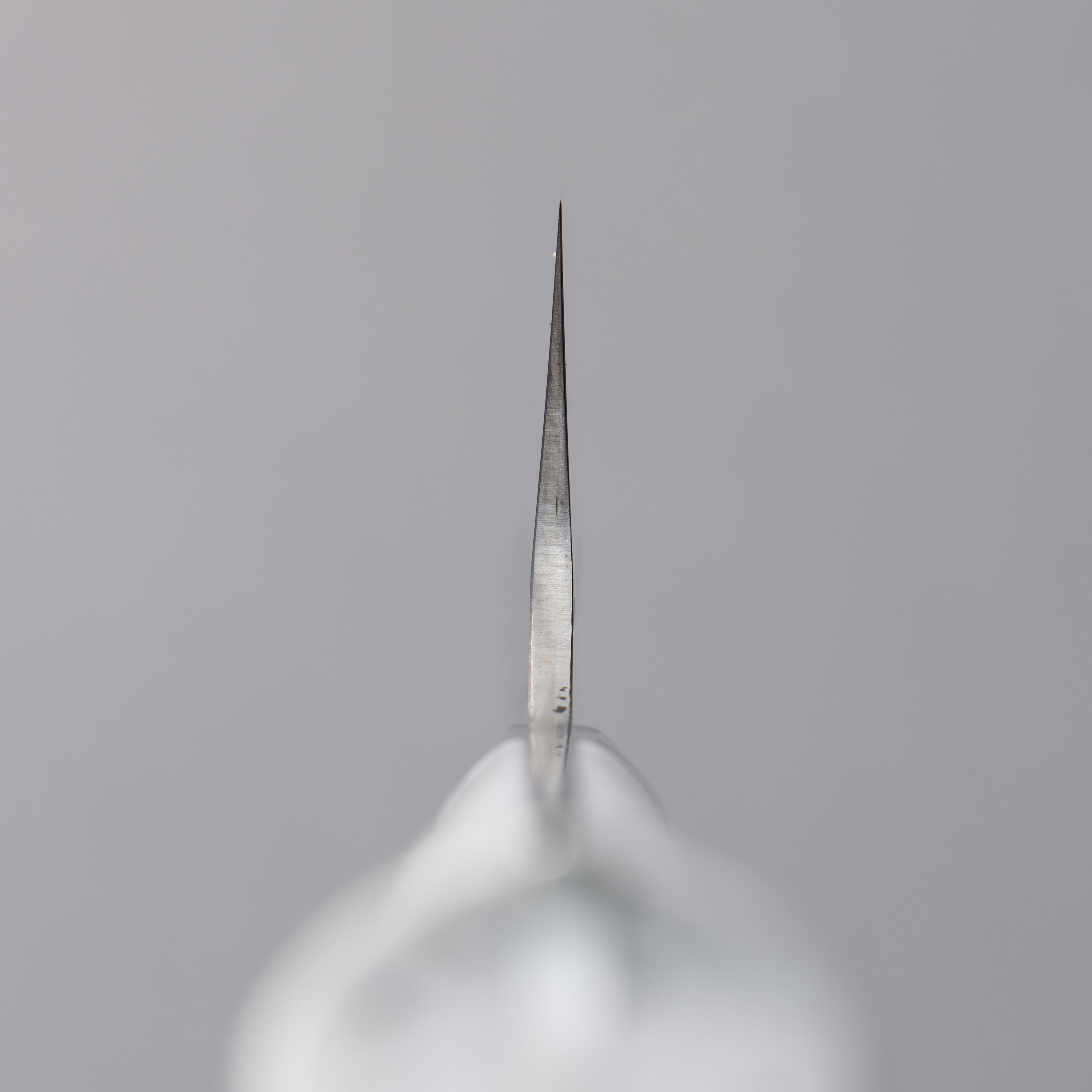 Takeshi Saji New Nomura Style SRS13 Hammered Gyuto 210mm White Terrazzo Handle - Seisuke Knife