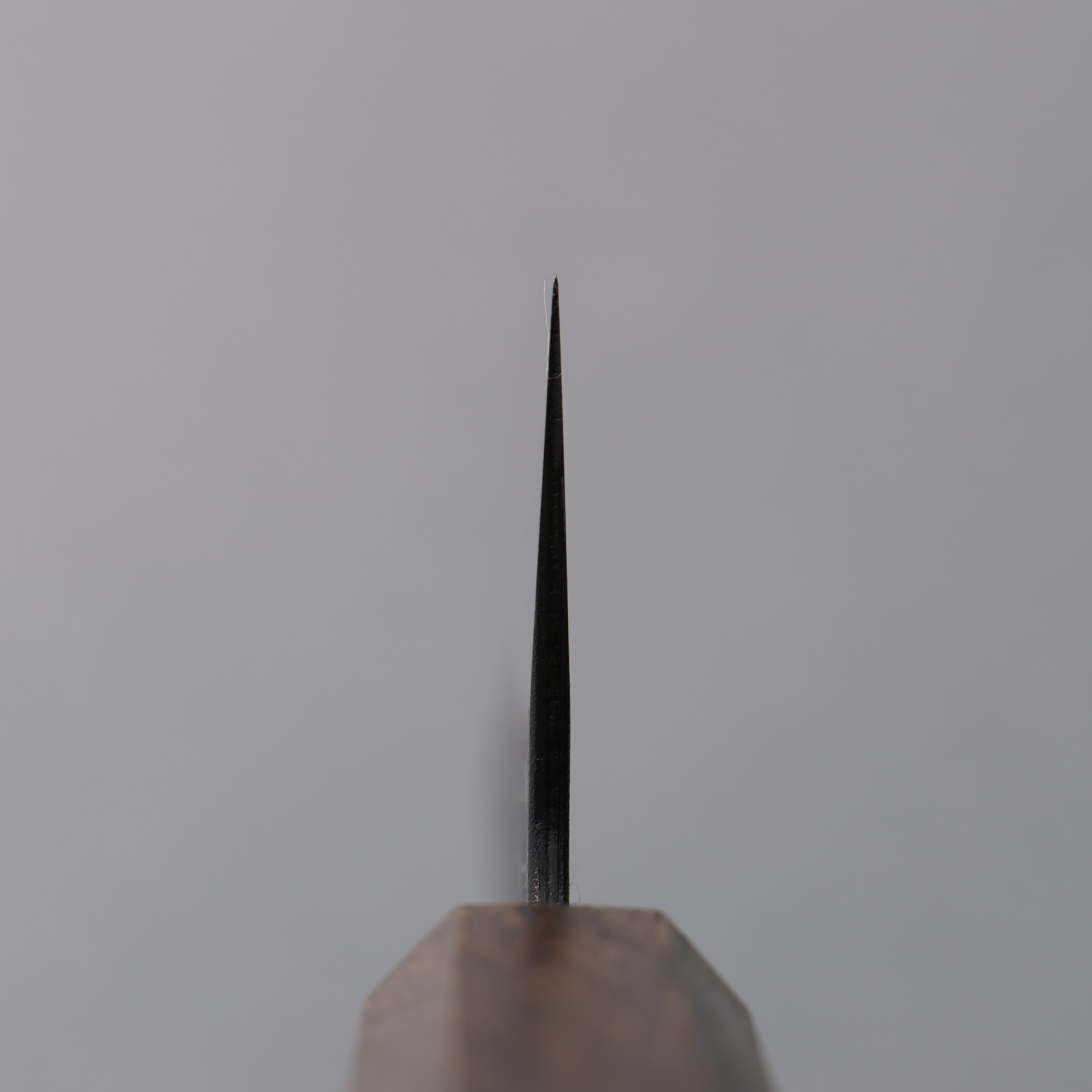 Oul Blue Super Black Nashiji Gyuto 210mm Oak Handle - Seisuke Knife