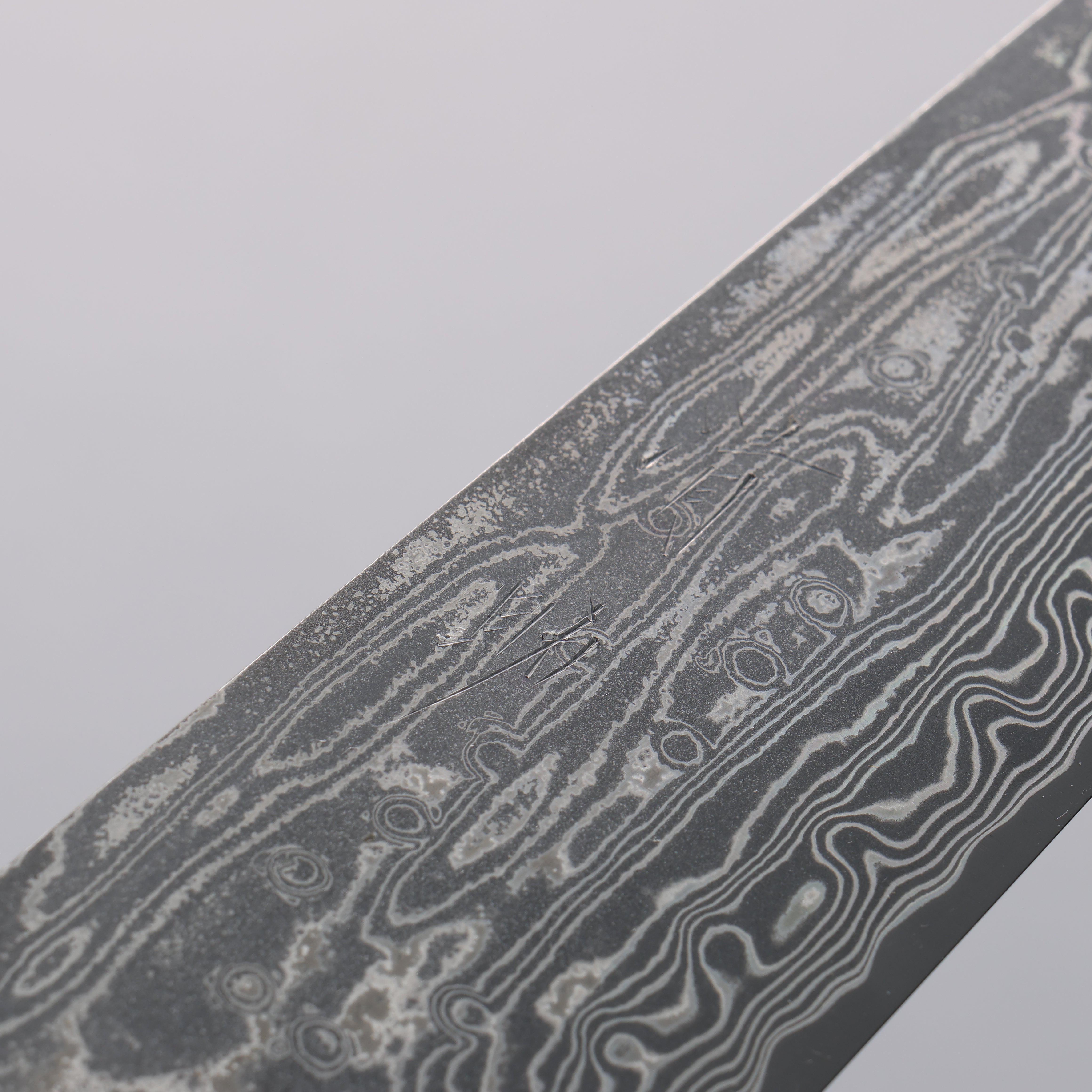 Seisuke SPG STRIX Black Damascus Gyuto 240mm Ebony (Maple Ring and Water Buffalo Ferrule) Handle - Seisuke Knife