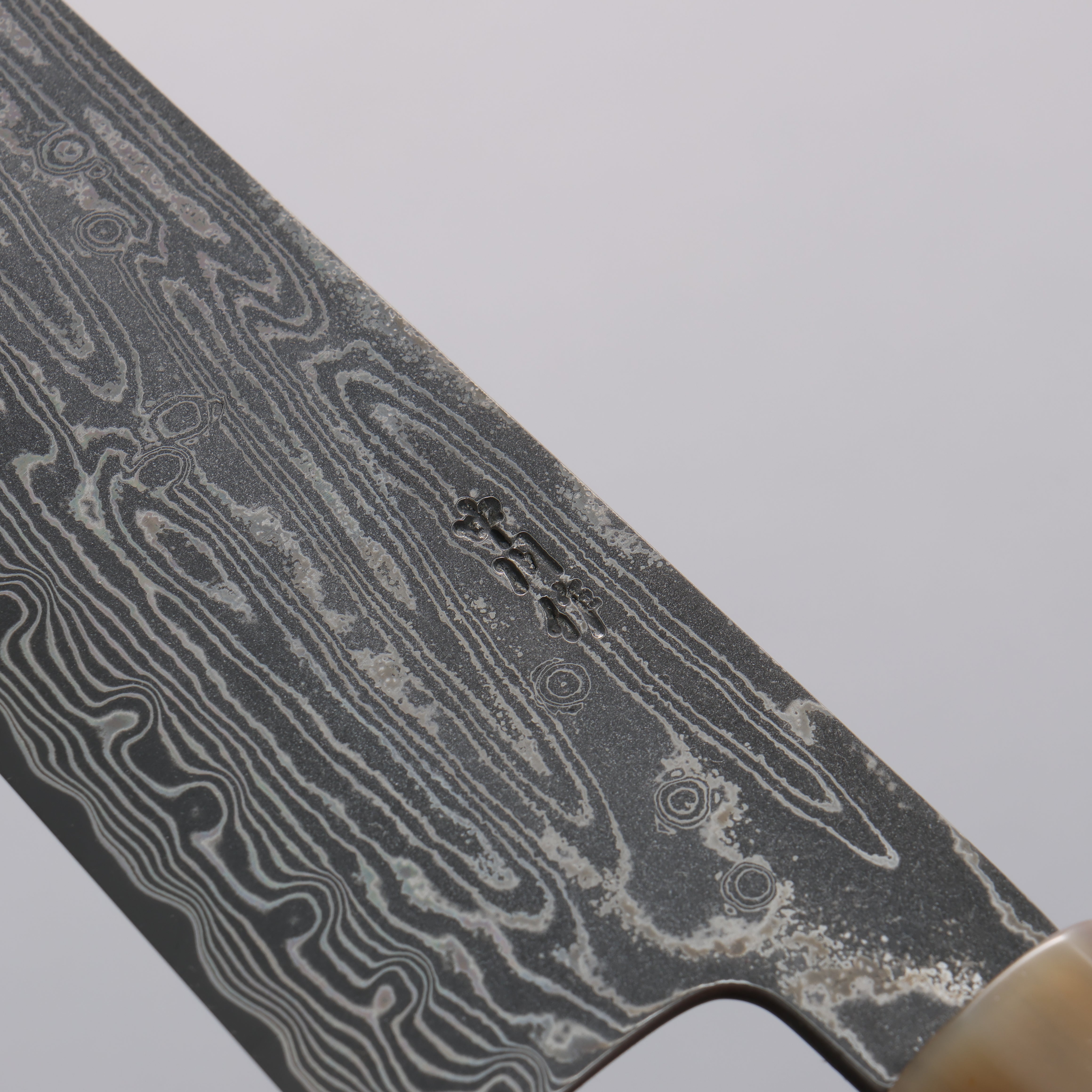 Seisuke SPG STRIX Black Damascus Gyuto 240mm Ebony (Maple Ring and Water Buffalo Ferrule) Handle - Seisuke Knife