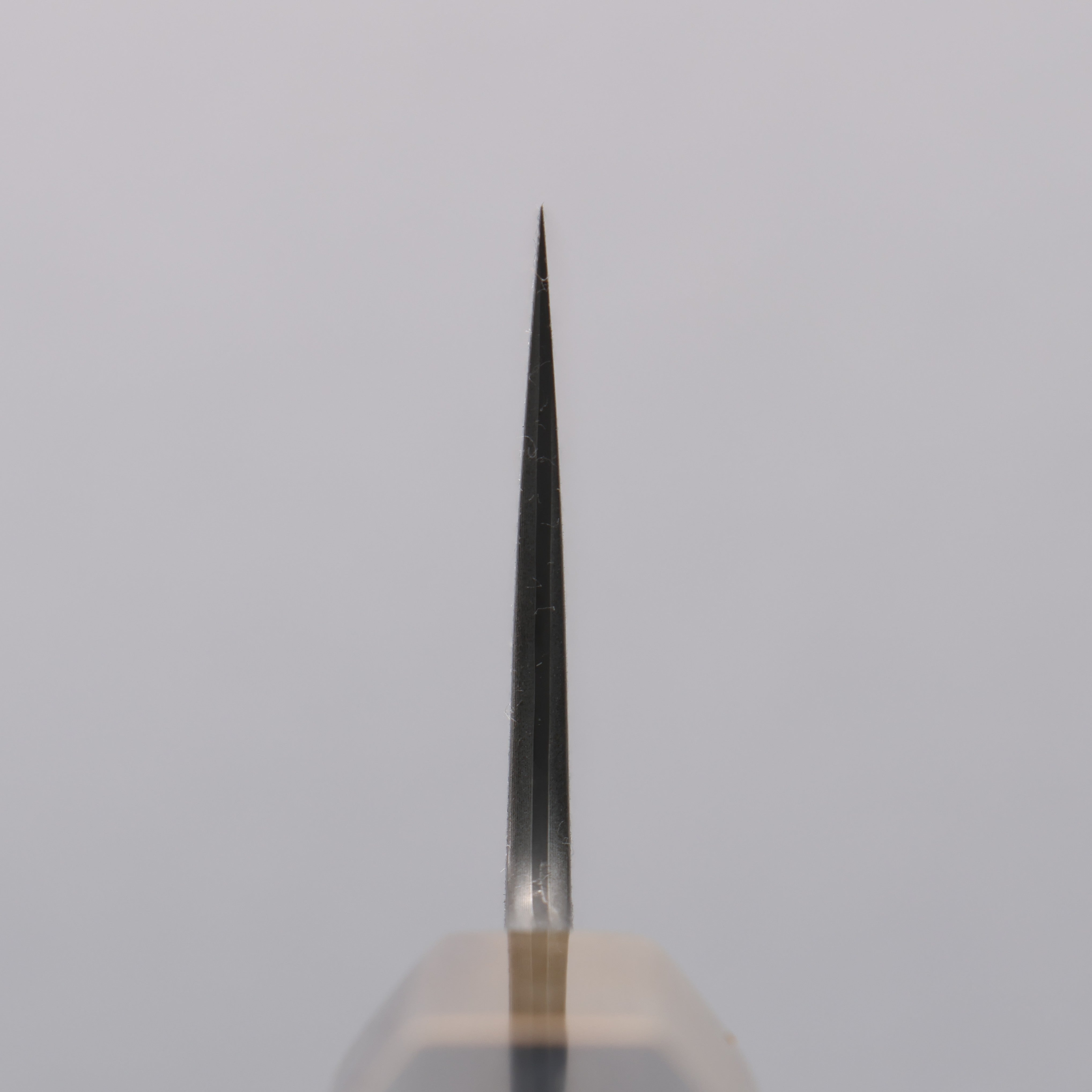 Seisuke SPG STRIX Black Damascus Gyuto 240mm Ebony (Maple Ring and Water Buffalo Ferrule) Handle - Seisuke Knife