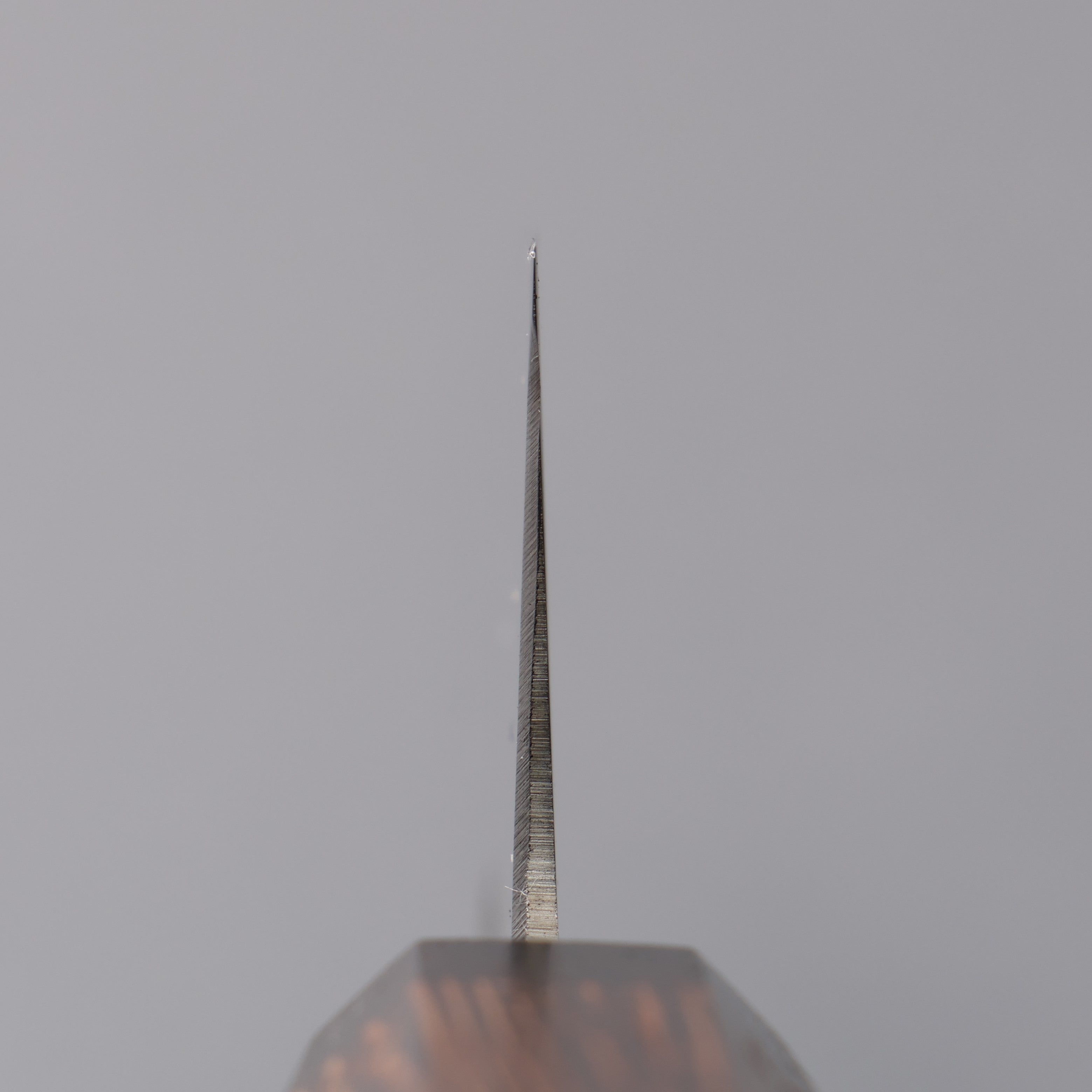 Sakai Takayuki Grand Chef Antares Swedish Steel-stn Gyuto 270mm Wenge Handle - Seisuke Knife