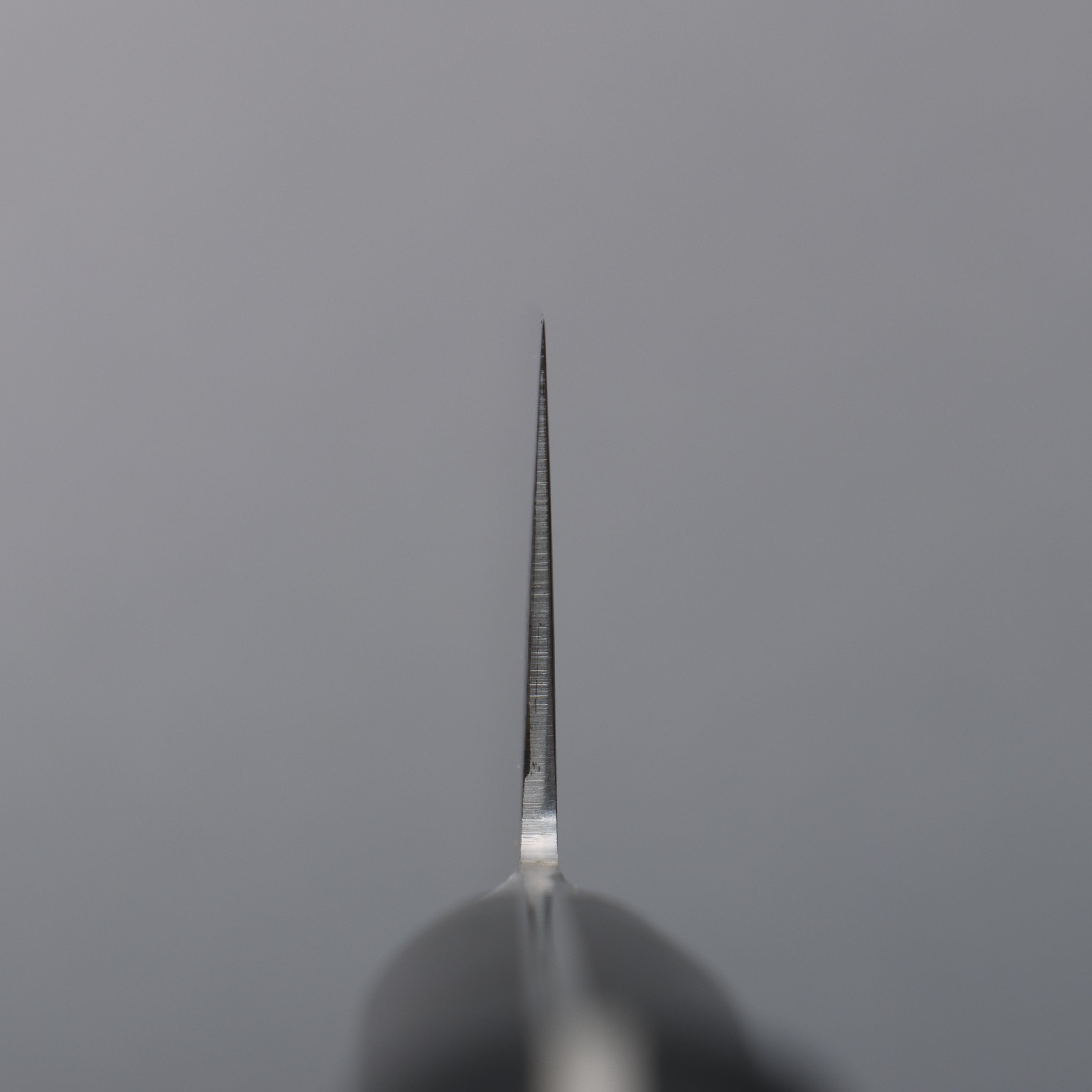 Tojiro Fujitora DP Cobalt Alloy Steel Santoku 170mm - Seisuke Knife