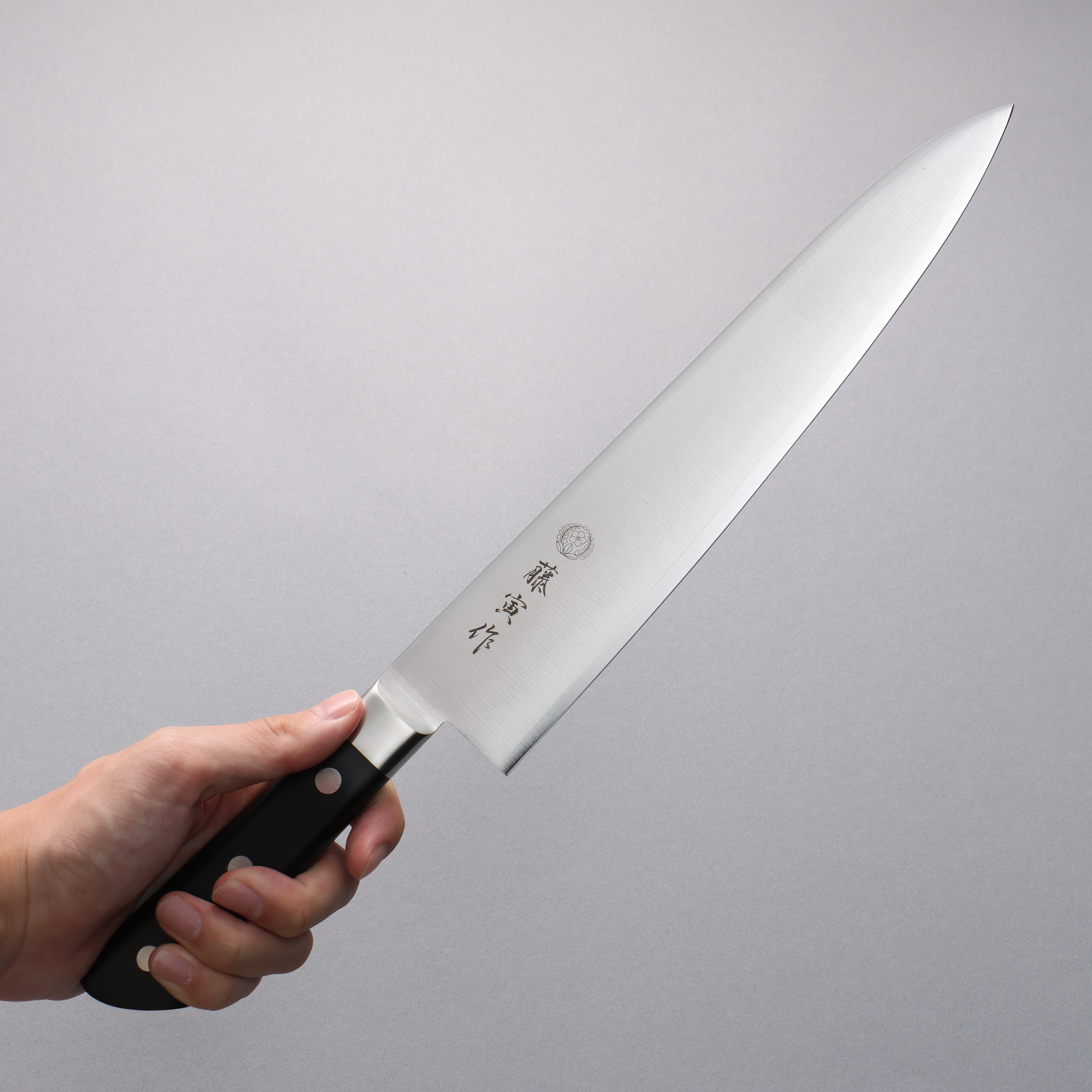 Tojiro Fujitora DP Cobalt Alloy Steel Gyuto 270mm - Seisuke Knife