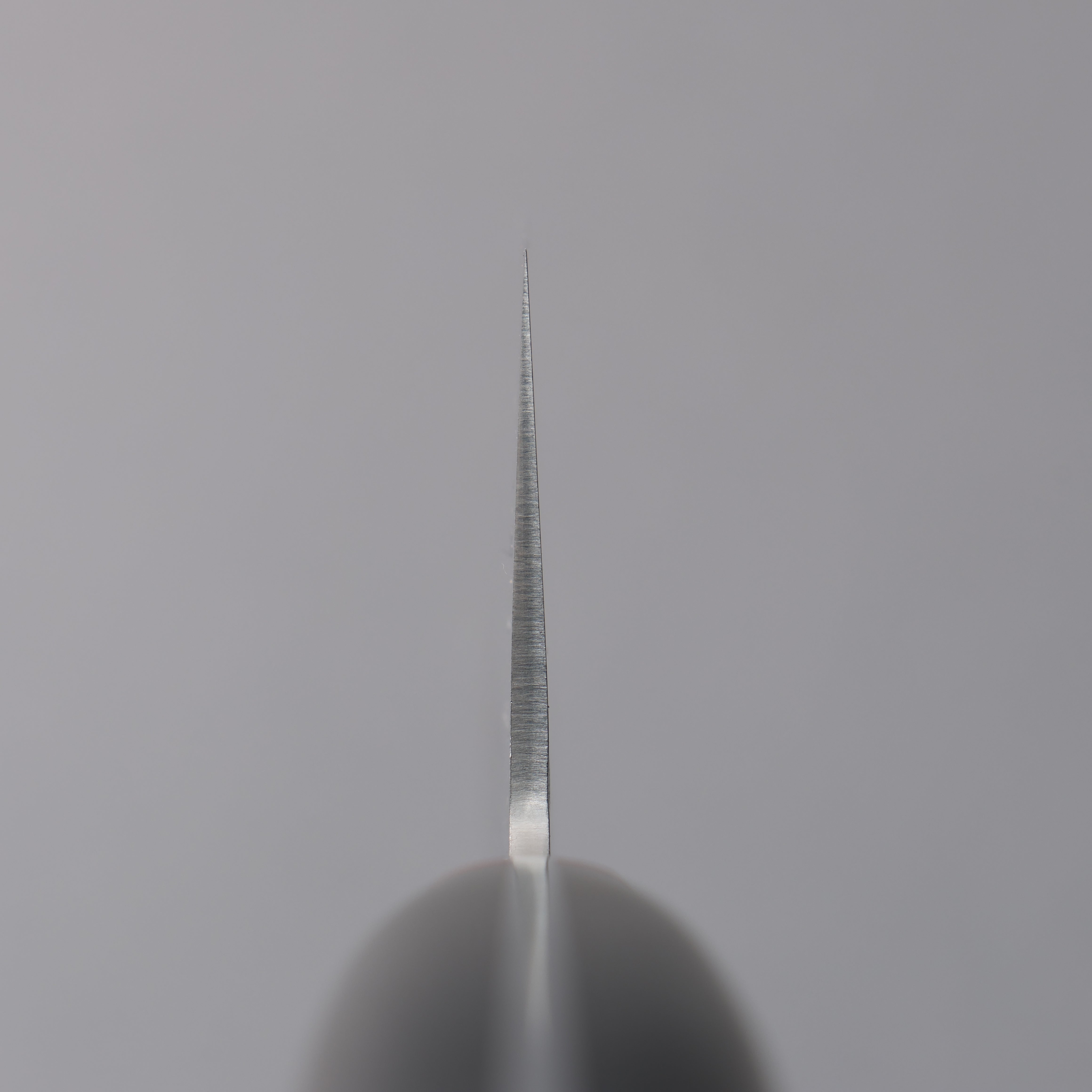 Seisuke PRO-J VG10 Hammered Gyuto 230mm Black Micarta Handle - Seisuke Knife