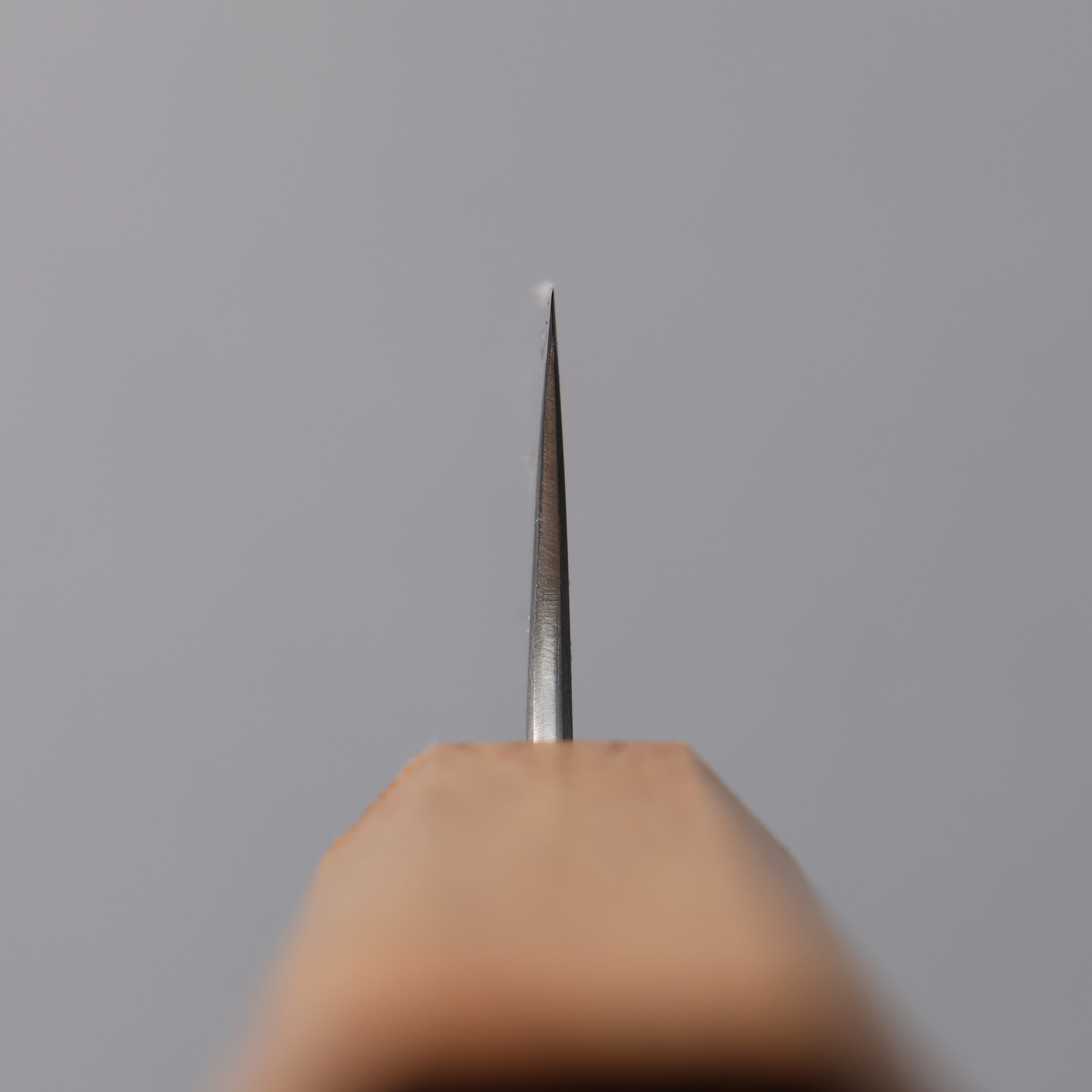 Seisuke Silver Steel No.3 Migaki Polish Finish Sujihiki 240mm White Oak Handle - Seisuke Knife
