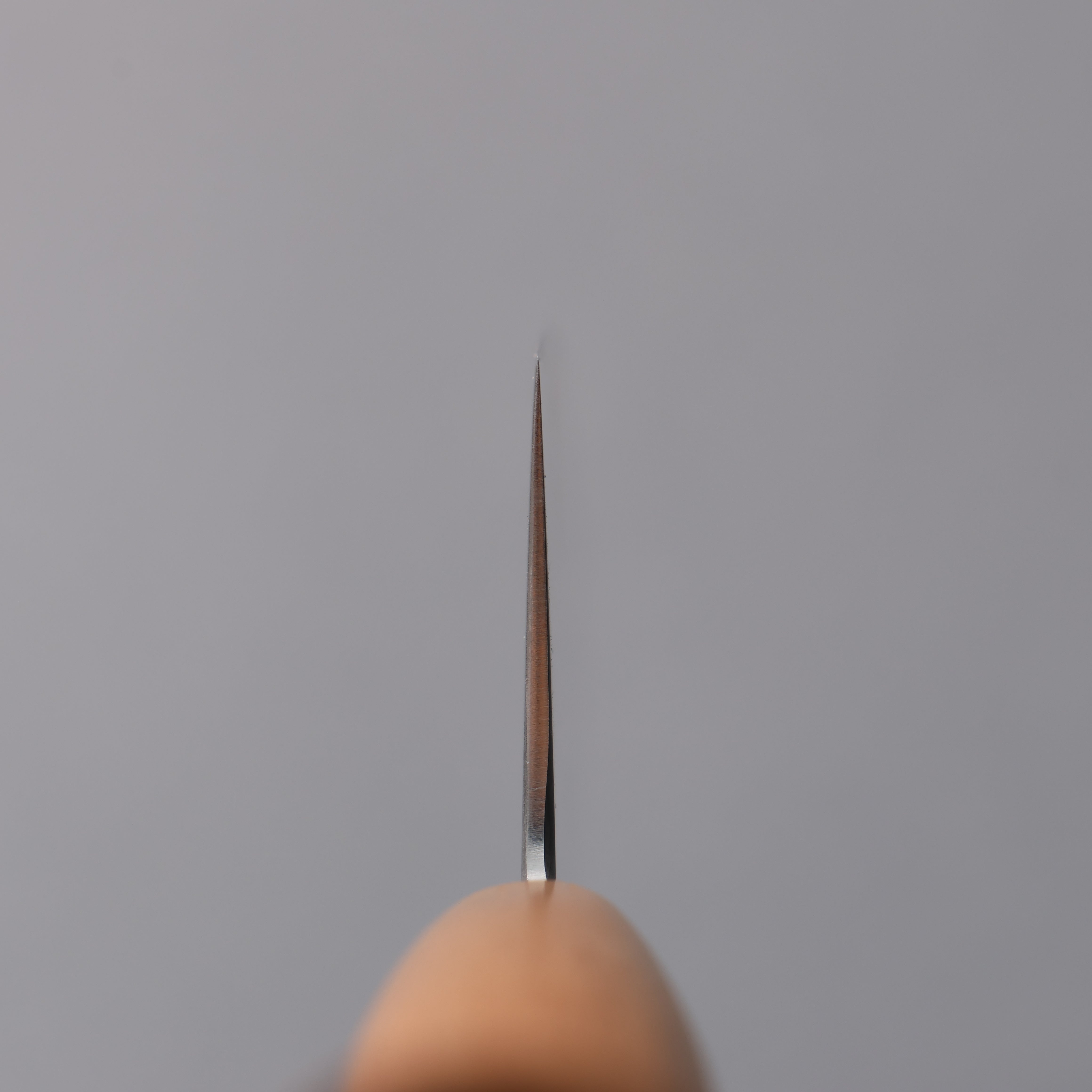 Jikko VG10 Gyuto 210mm Cherry Wood Handle - Seisuke Knife