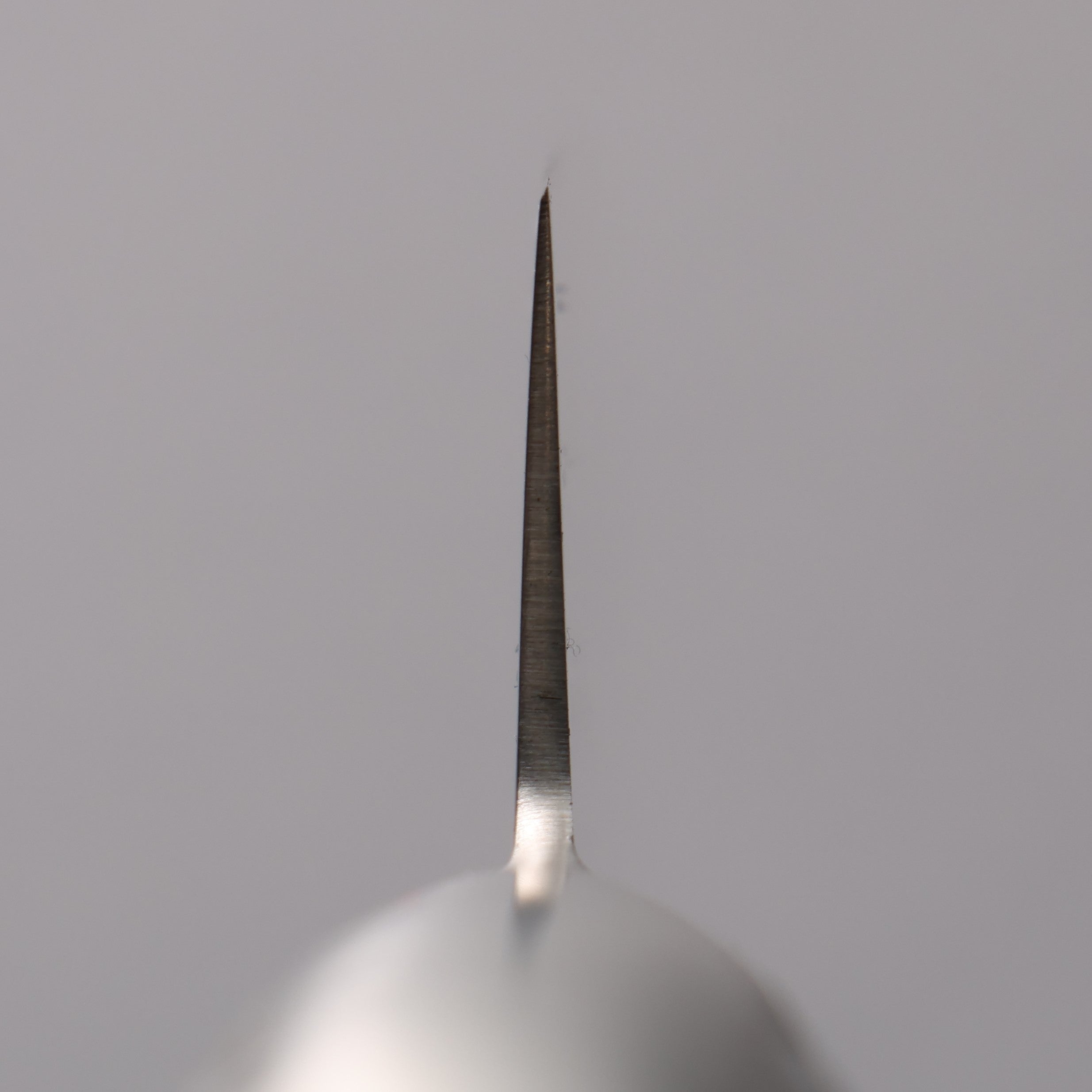 Sakai Takayuki INOX PRO Molybdenum Sujihiki 240mm - Seisuke Knife