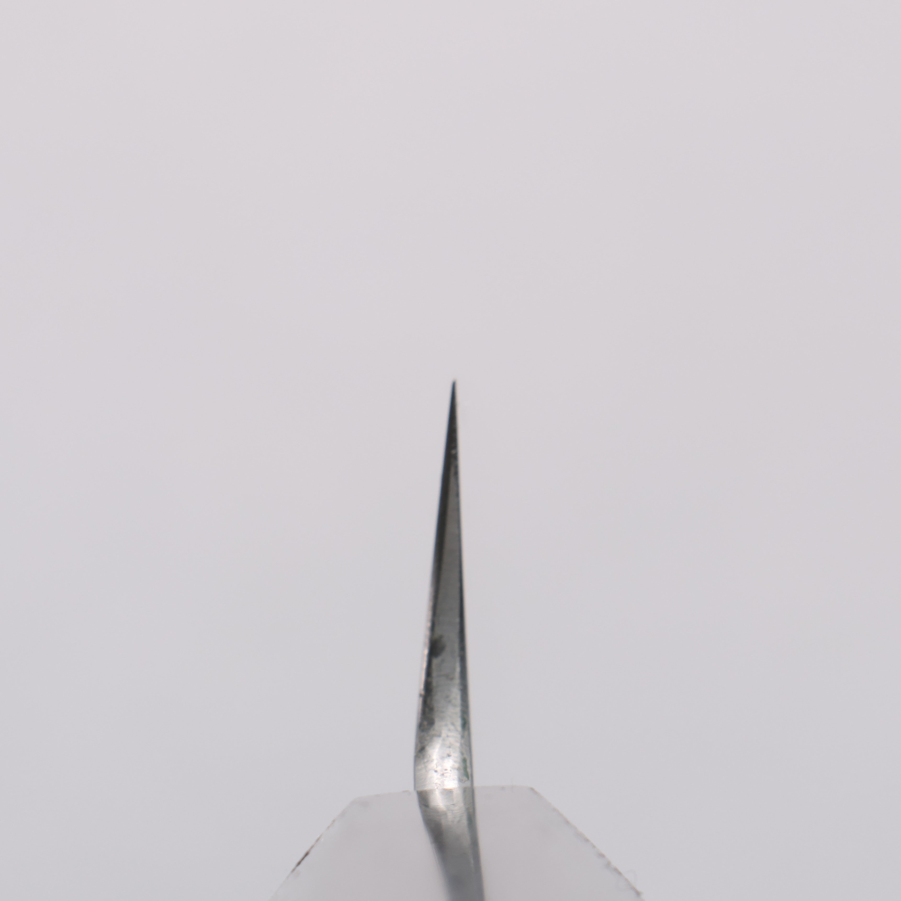 Minamoto Akitada Honyaki DX Blue Steel No.2 Kasumitogi Yanagiba 300mm Ebony Wood Handle - Seisuke Knife