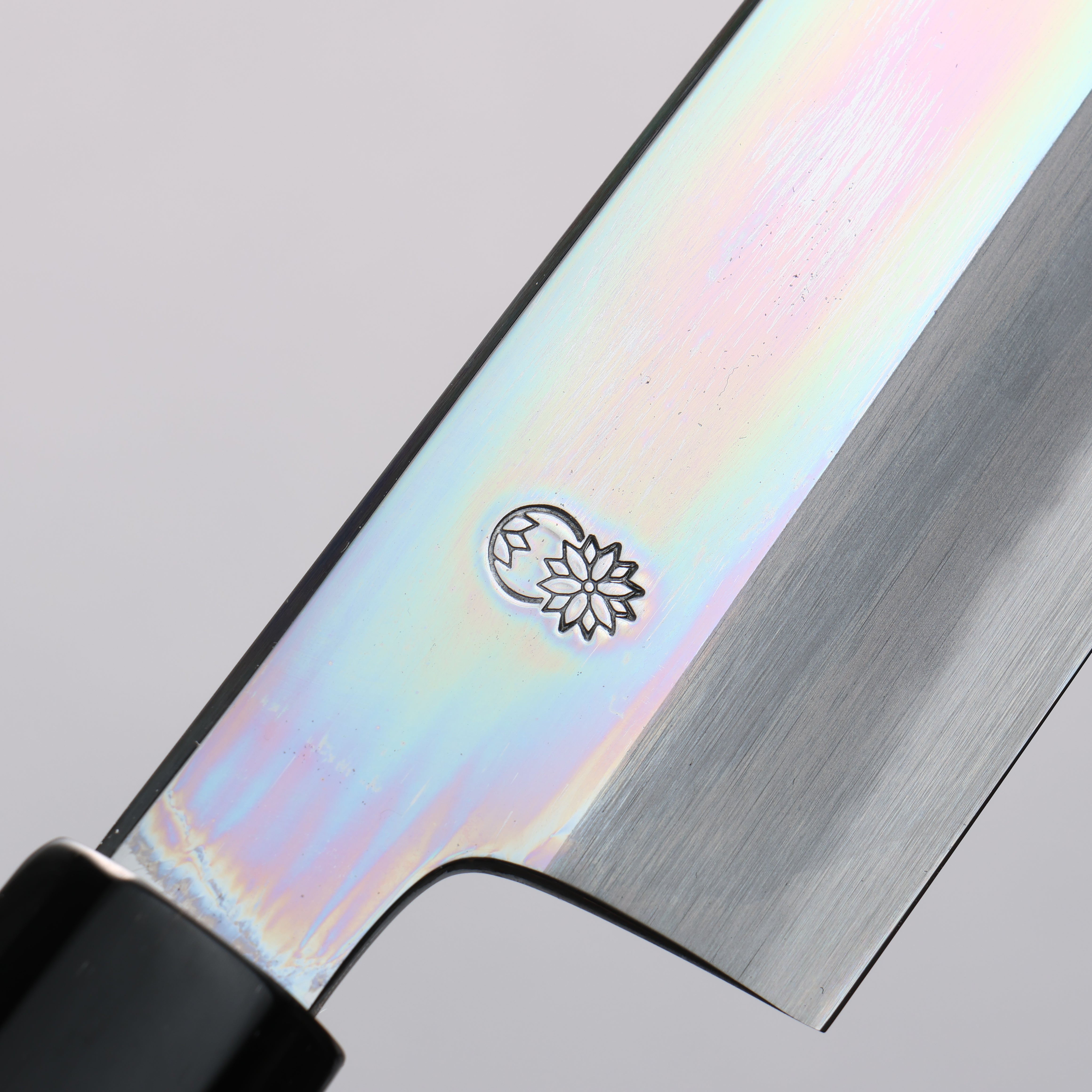 Choyo White Steel Mirrored Kiritsuke Gyuto 240mm Magnolia Handle - Seisuke Knife