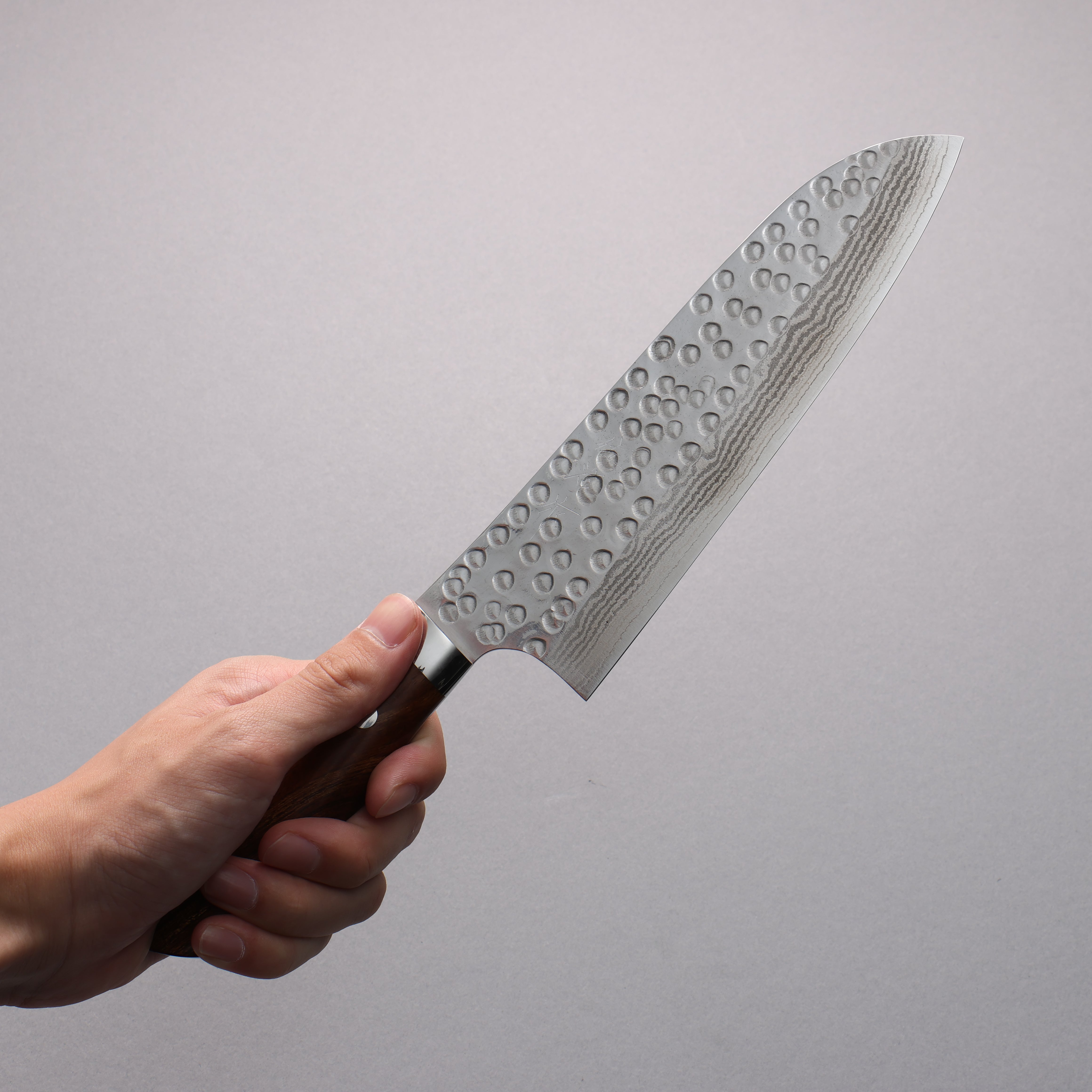 Takeshi Saji SRS13 Damascus Hammered(Maru) Santoku 180mm Ironwood Handle - Seisuke Knife