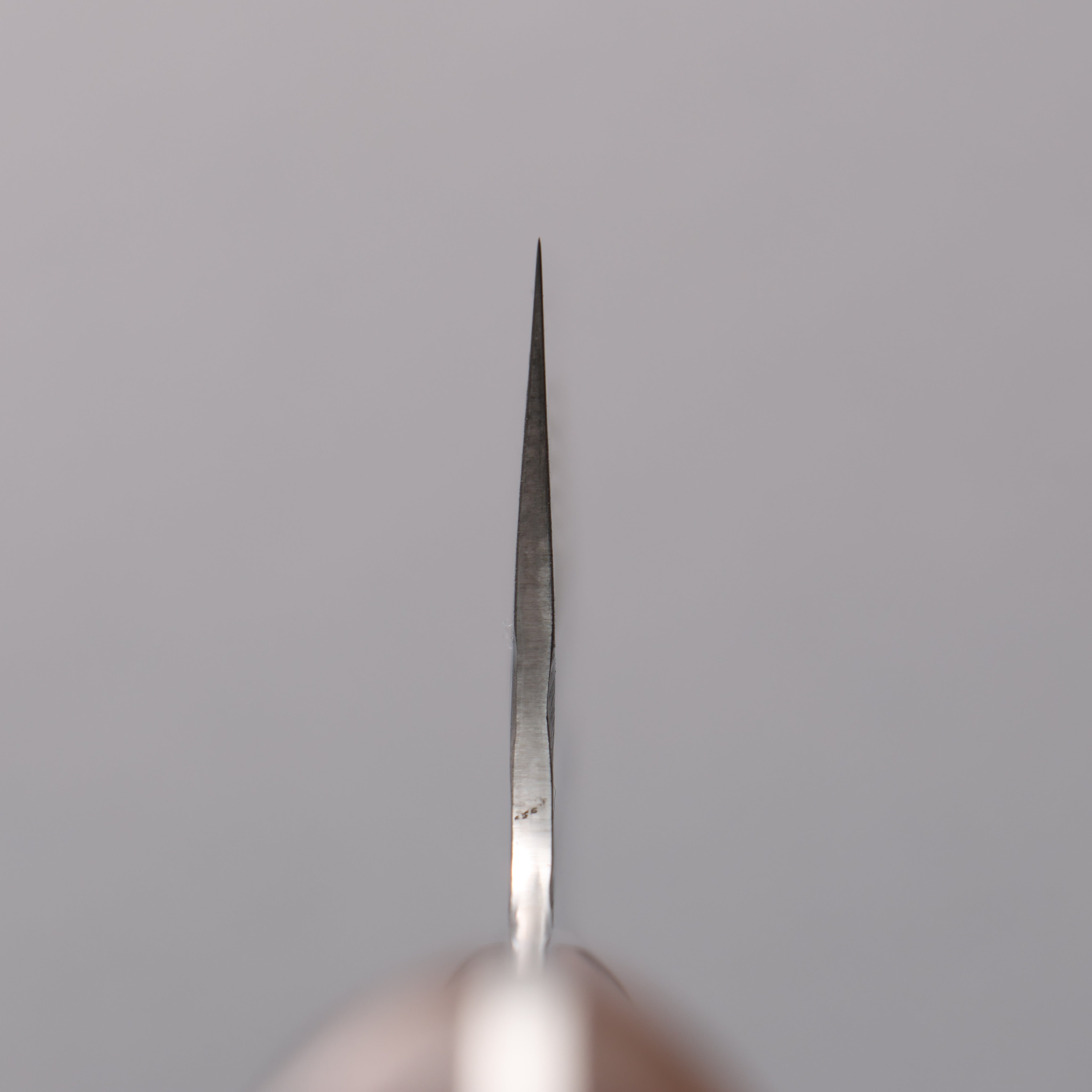 Takeshi Saji SRS13 Damascus Hammered(Maru) Nakiri 165mm Ironwood Handle - Seisuke Knife