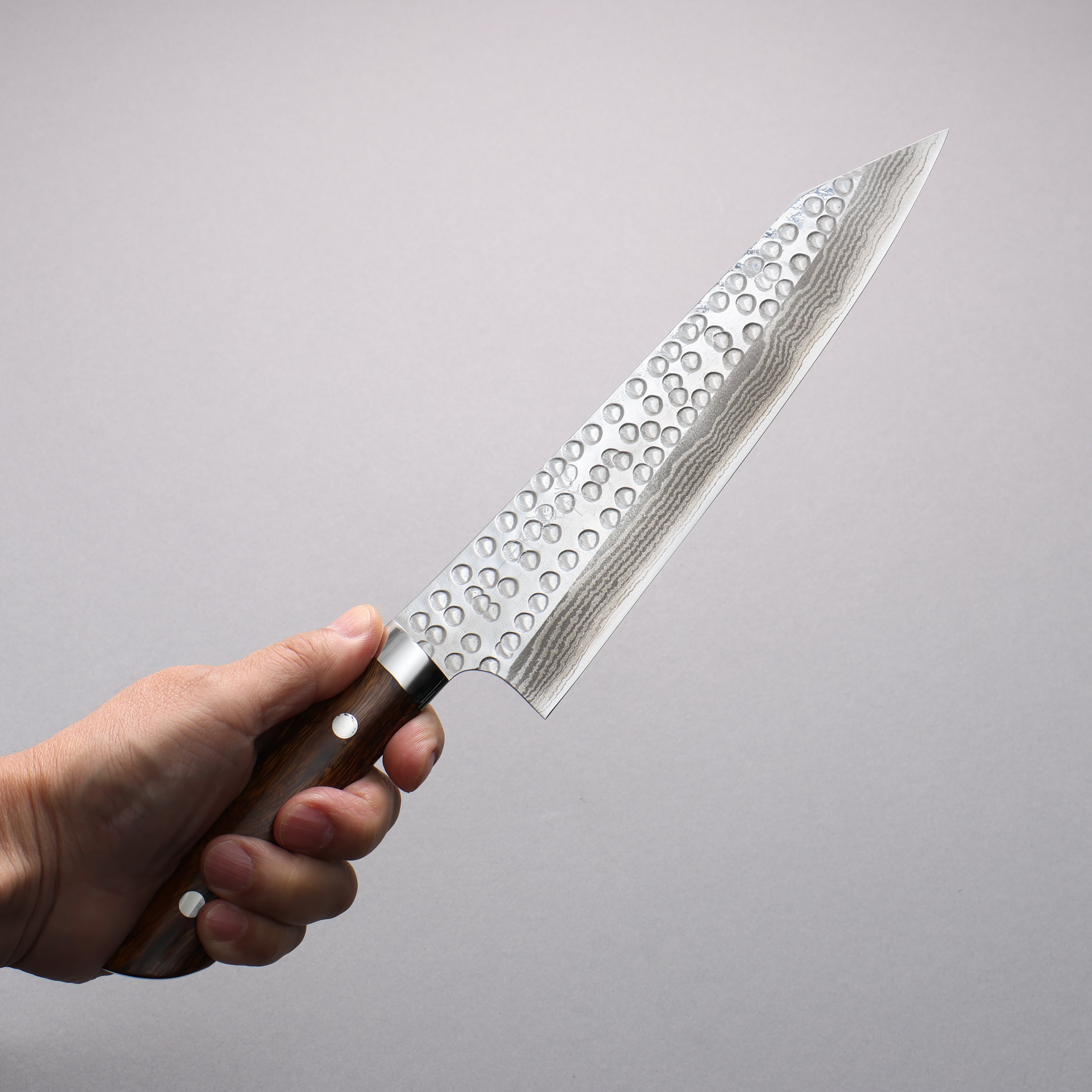 Takeshi Saji SRS13 Damascus Hammered(Maru) Kiritsuke Gyuto 210mm Ironwood Handle - Seisuke Knife