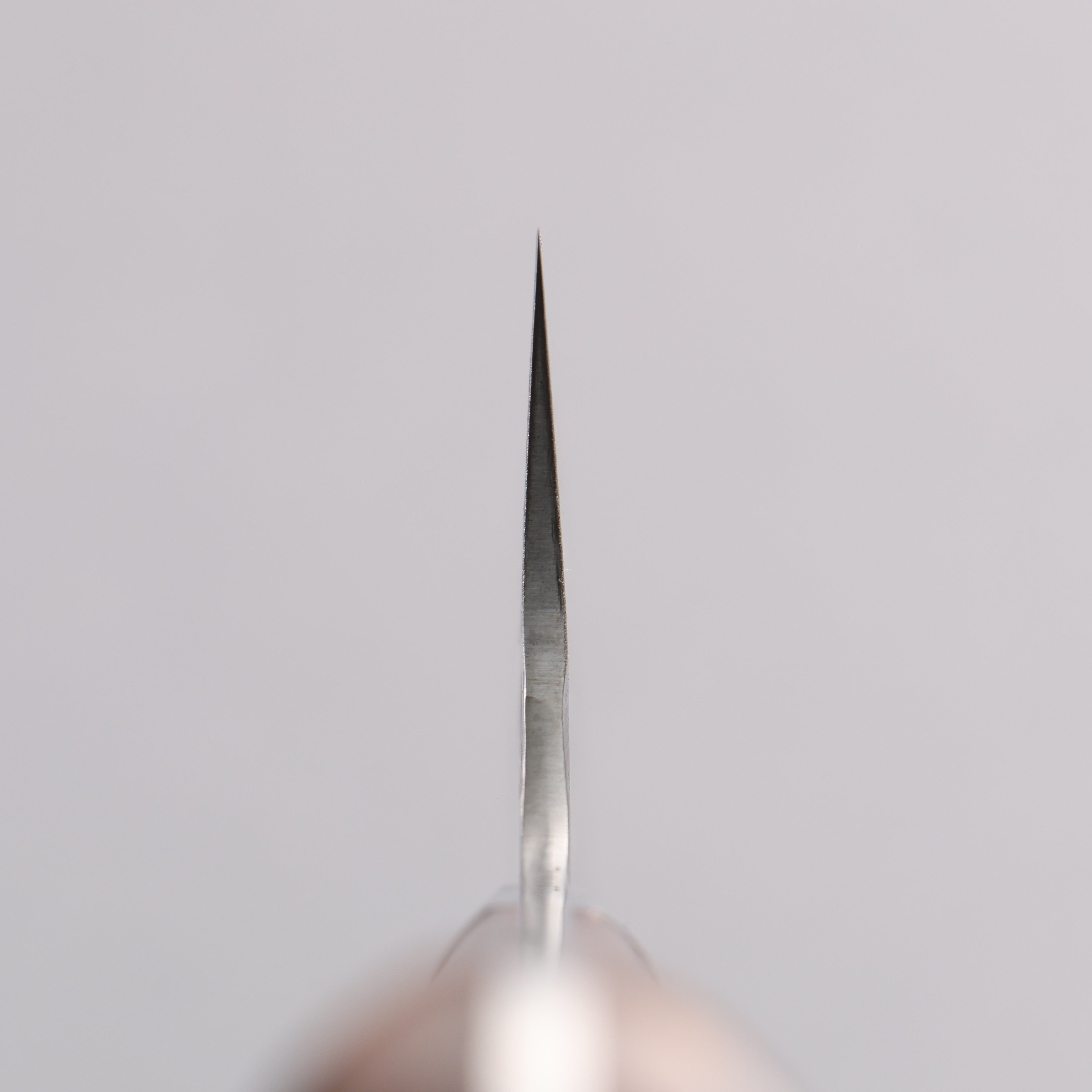 Takeshi Saji SRS13 Damascus Hammered(Maru) Kiritsuke Gyuto 210mm Ironwood Handle - Seisuke Knife