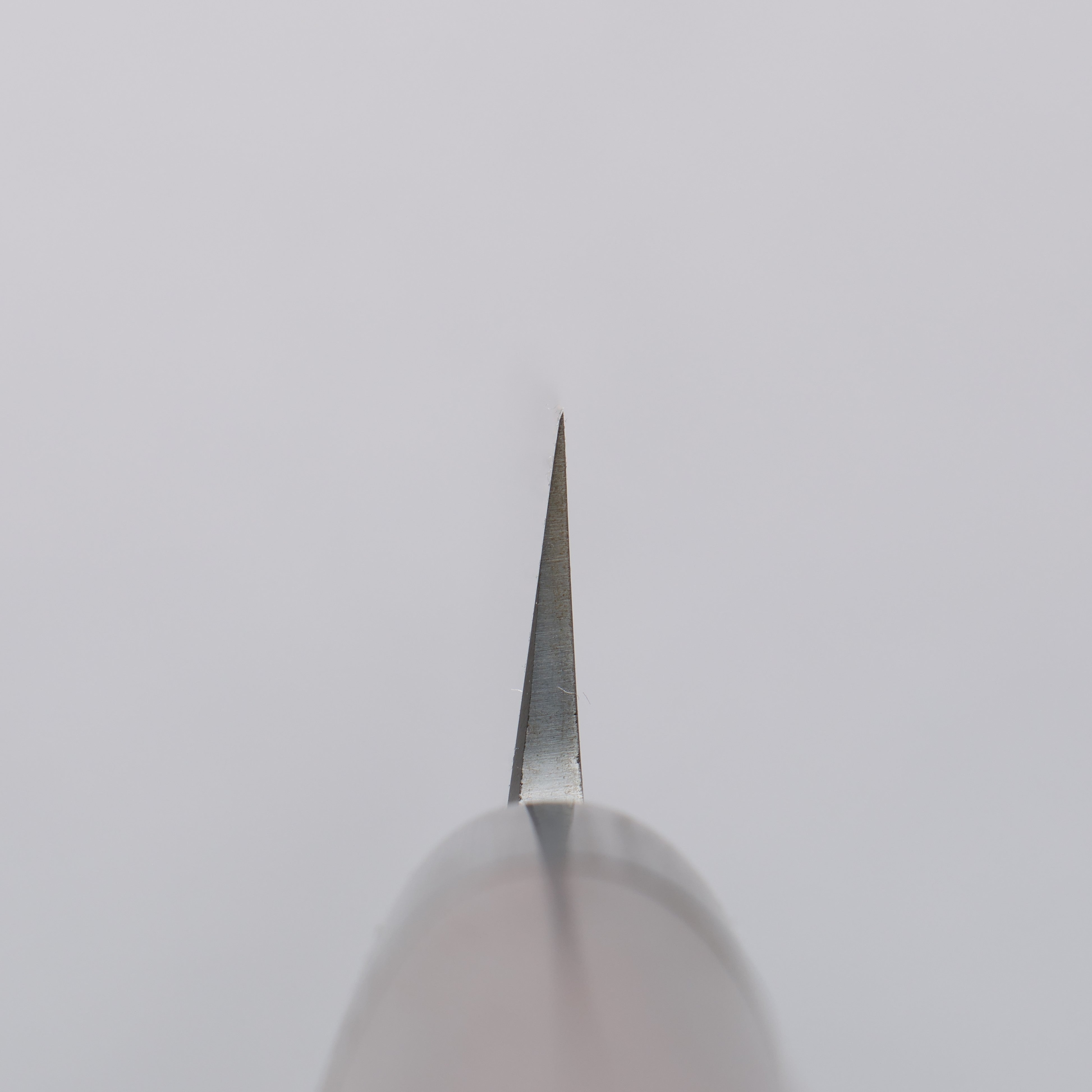 Jikko White Steel No.2 Yanagiba 270mm Shitan Handle - Seisuke Knife