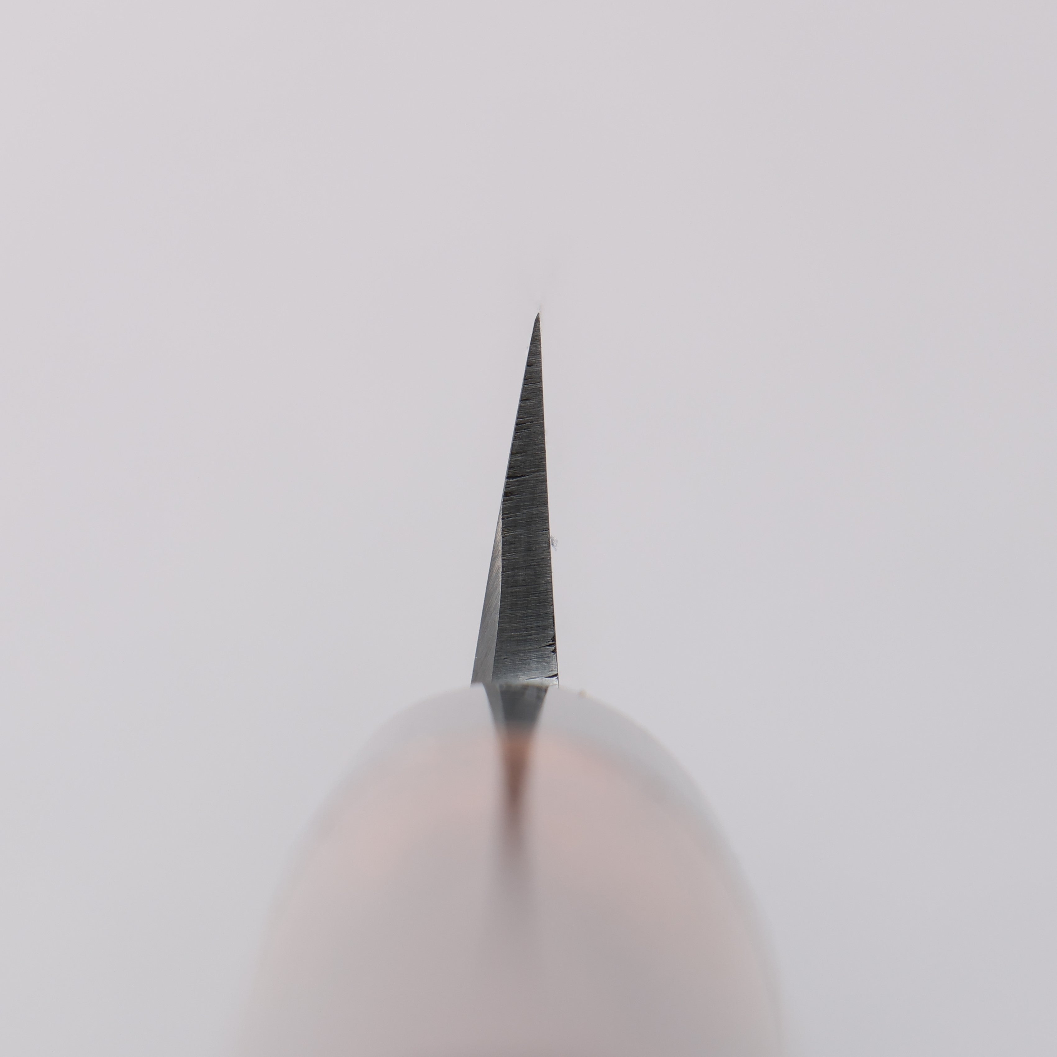 Jikko Silver Steel No.3 Yanagiba 300mm Shitan Handle - Seisuke Knife