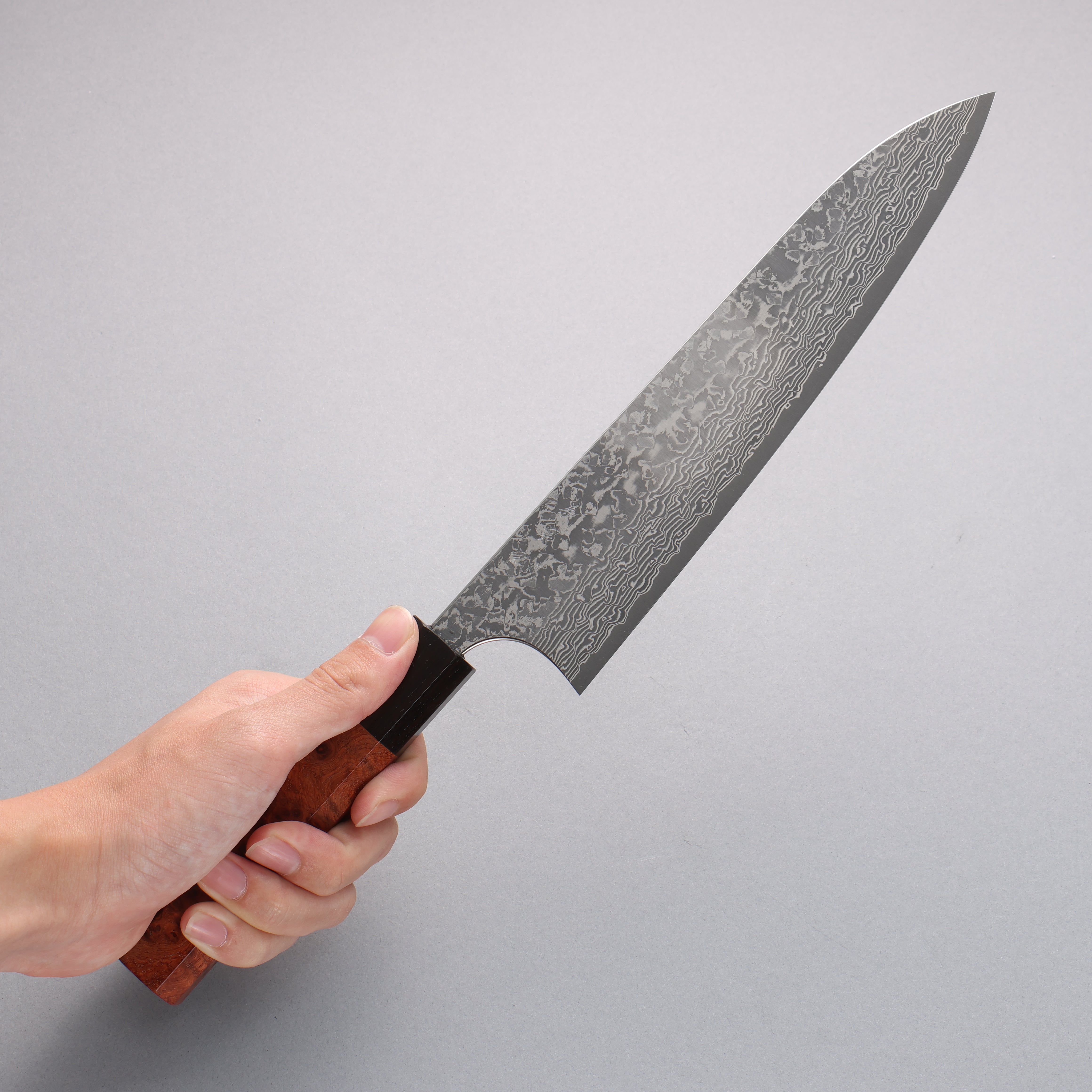 Yoshimi Kato VG10 Black Damascus Gyuto 210mm Chinese Quince Burl (Ferrule: Ebony) Handle - Seisuke Knife