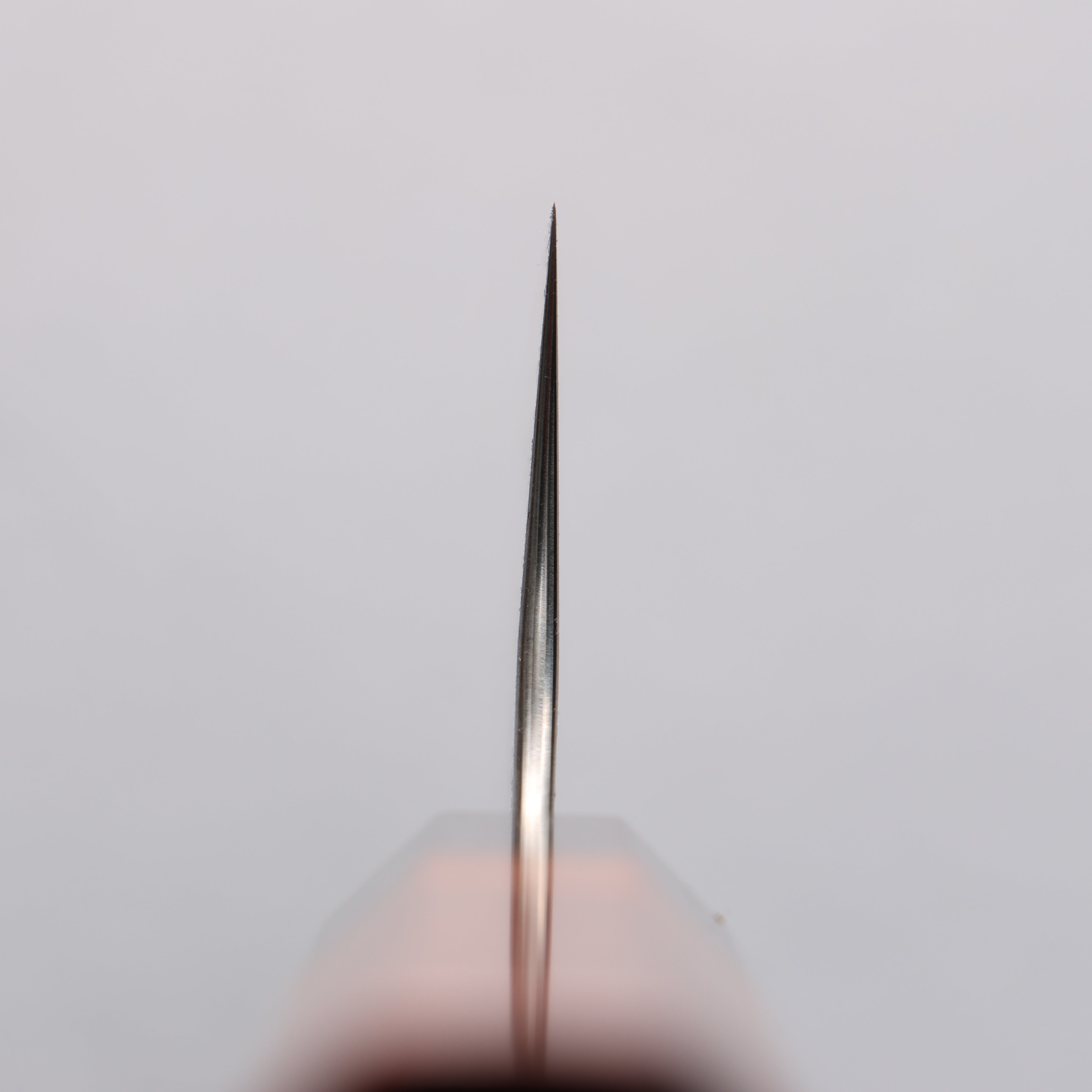 Yoshimi Kato VG10 Black Damascus Gyuto 210mm Chinese Quince Burl (Ferrule: Ebony) Handle - Seisuke Knife