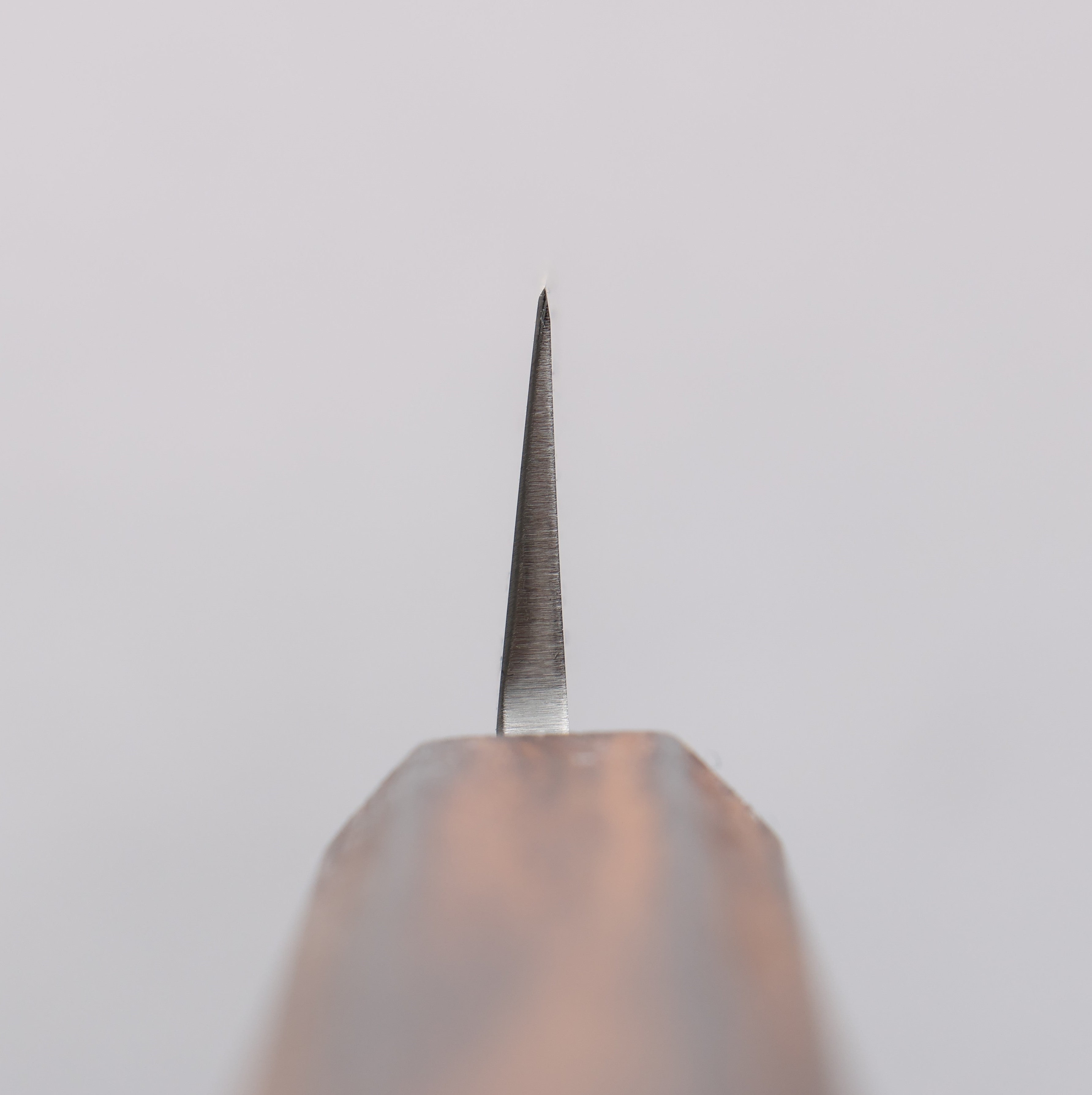 Seisuke AUS8 Yanagiba 270mm Oak Handle - Seisuke Knife
