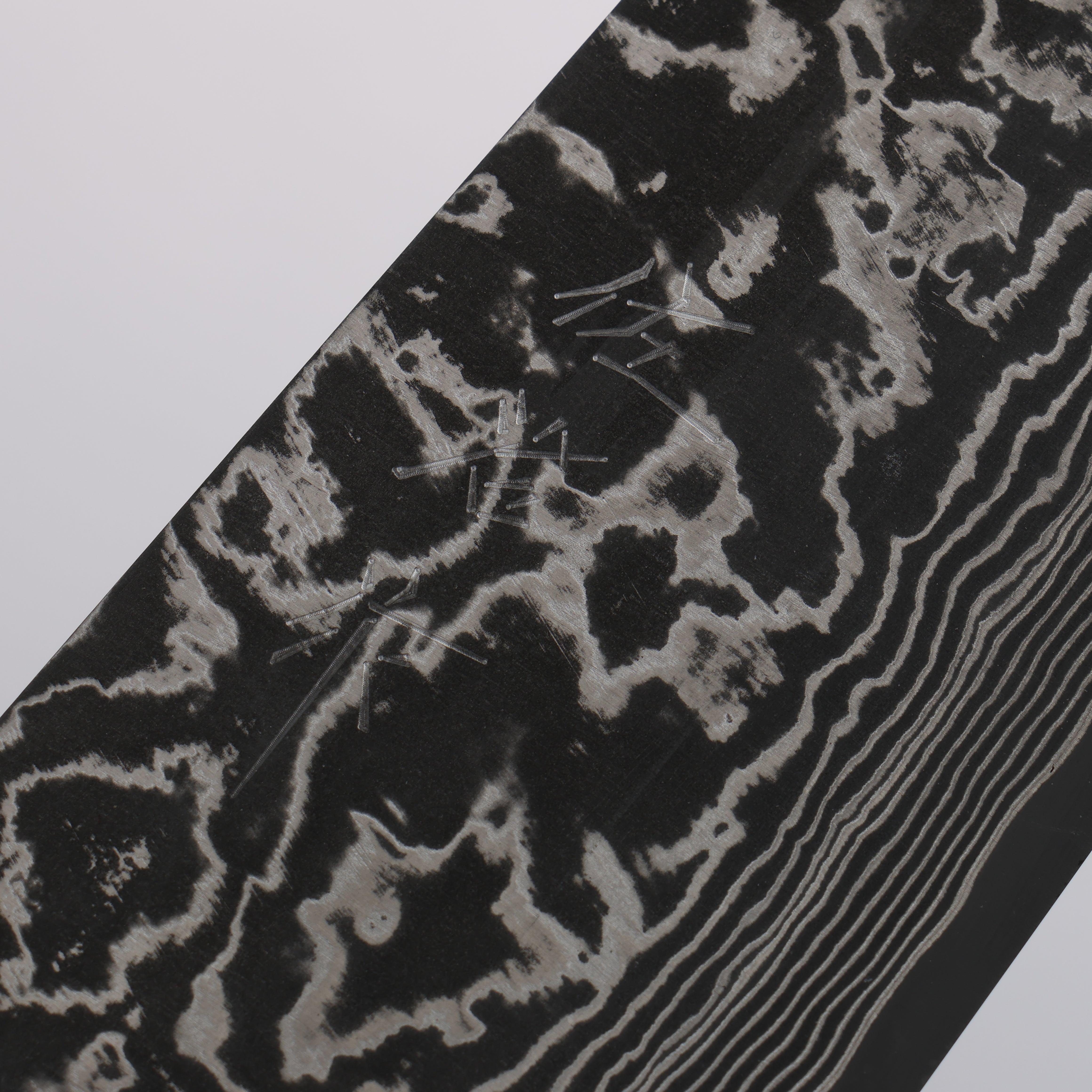 Takeshi Saji SG2 Black Damascus Santoku 180mm Ebony Wood (with Silver Ring) Handle - Seisuke Knife