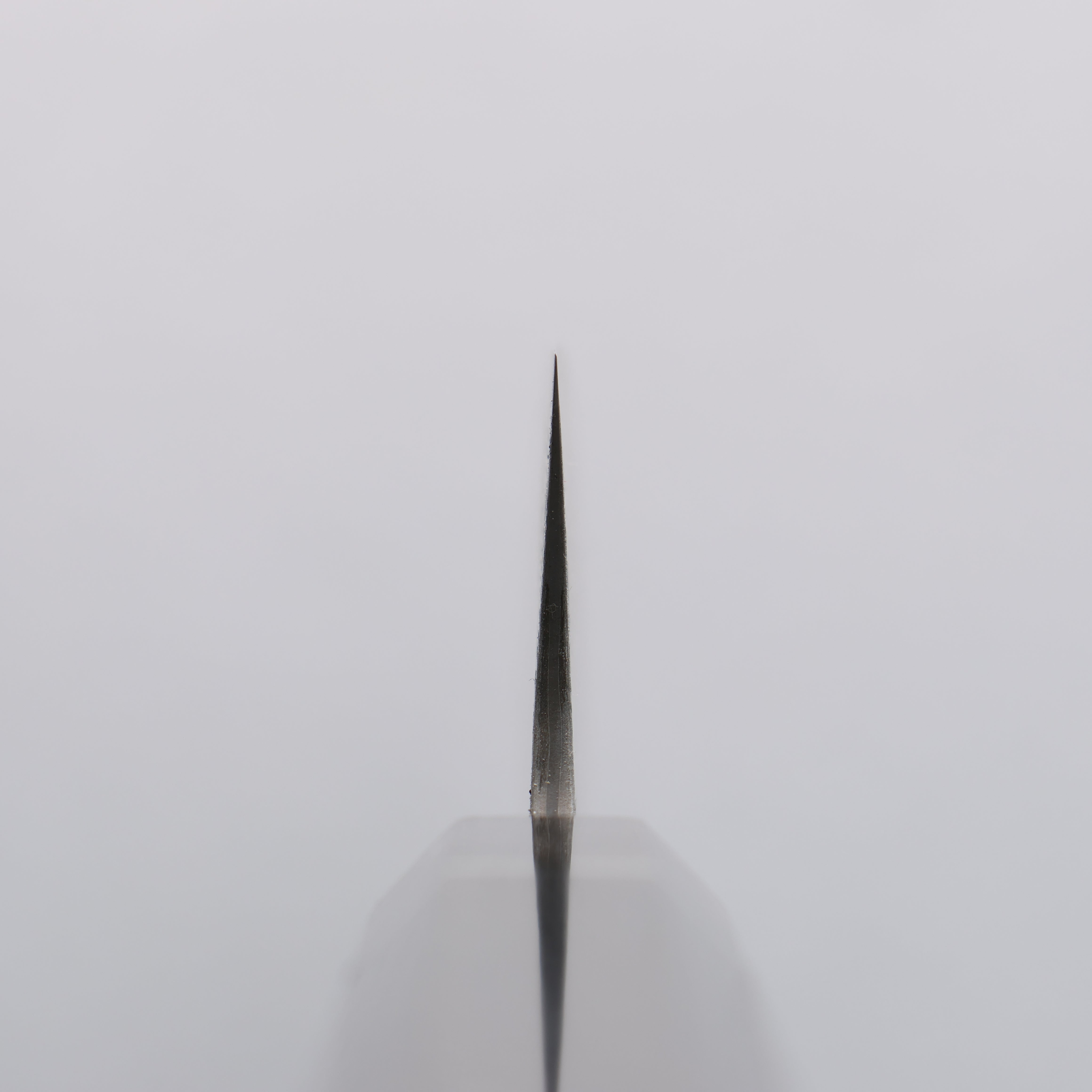 Takeshi Saji SG2 Black Damascus Sujihiki 240mm Ebony Wood Handle - Seisuke Knife