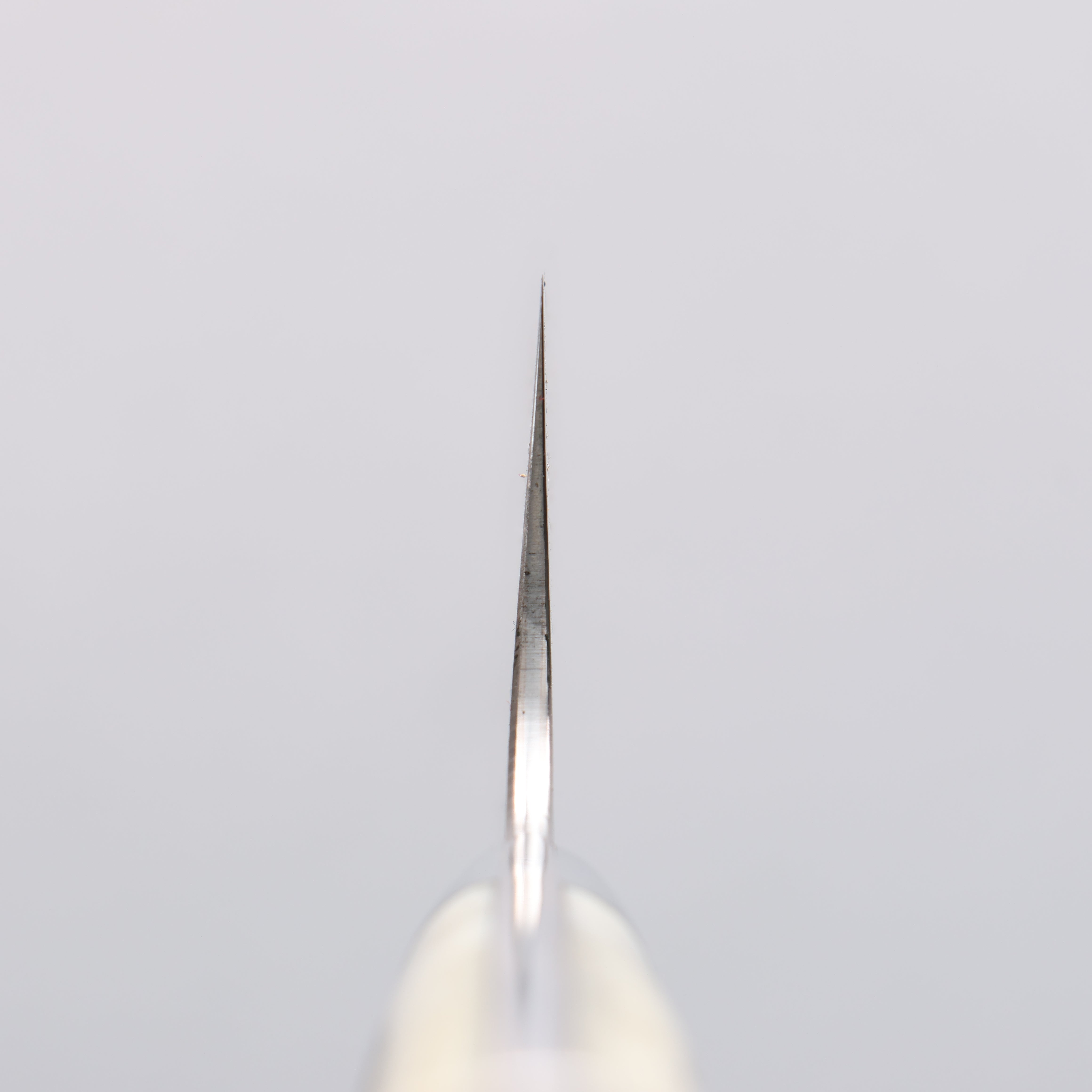 Takeshi Saji Blue Steel No.2 Colored Damascus Bunka 180mm White Deer Horn Handle - Seisuke Knife