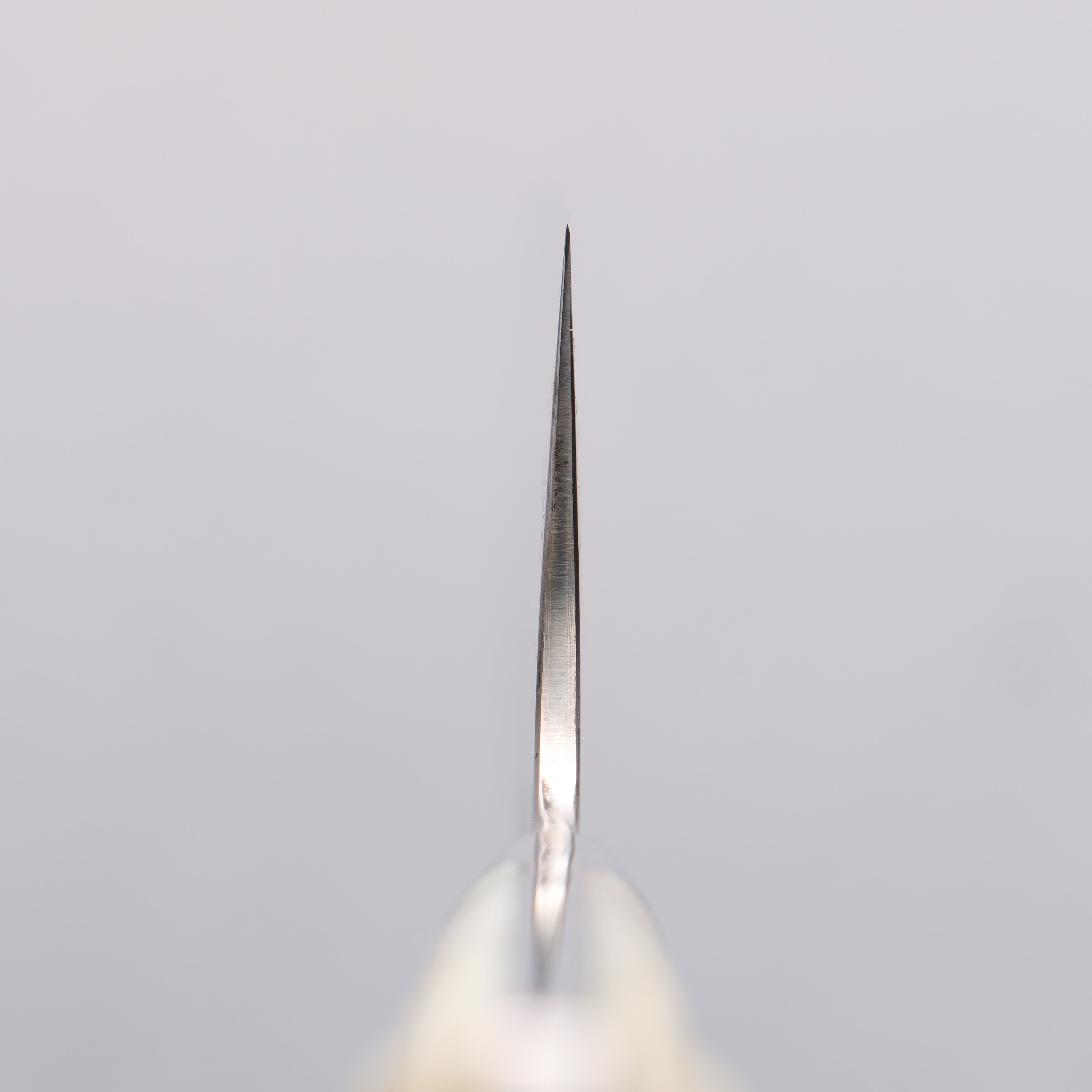 Takeshi Saji Blue Steel No.2 Colored Damascus Gyuto 240mm White Deer Horn Handle - Seisuke Knife