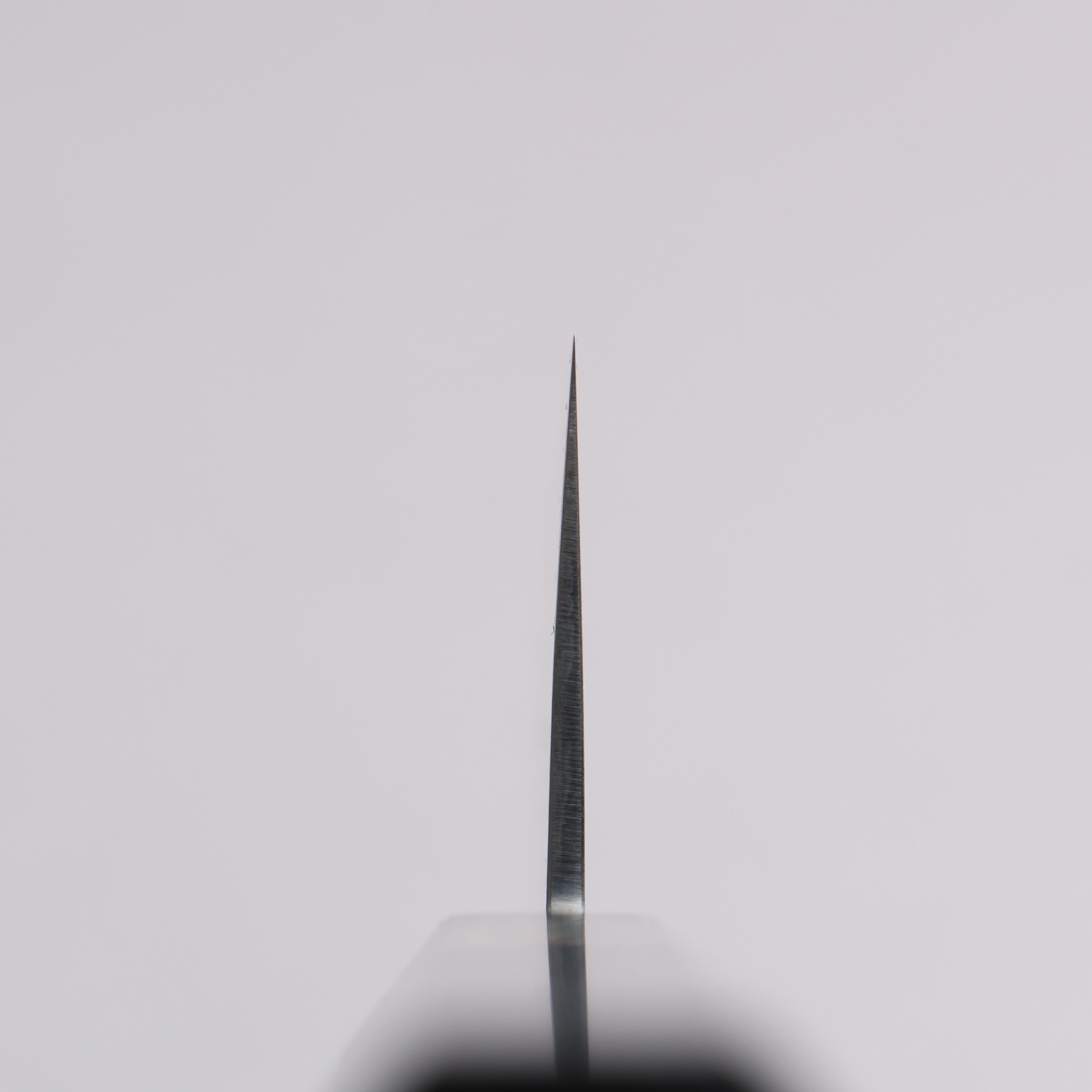 Toshitaka Seisuke VG10 65 Layer Damascus Kiritsuke Gyuto 210mm Ebony (Maple Ring and Water Buffalo Ferrule) Handle - Seisuke Knife
