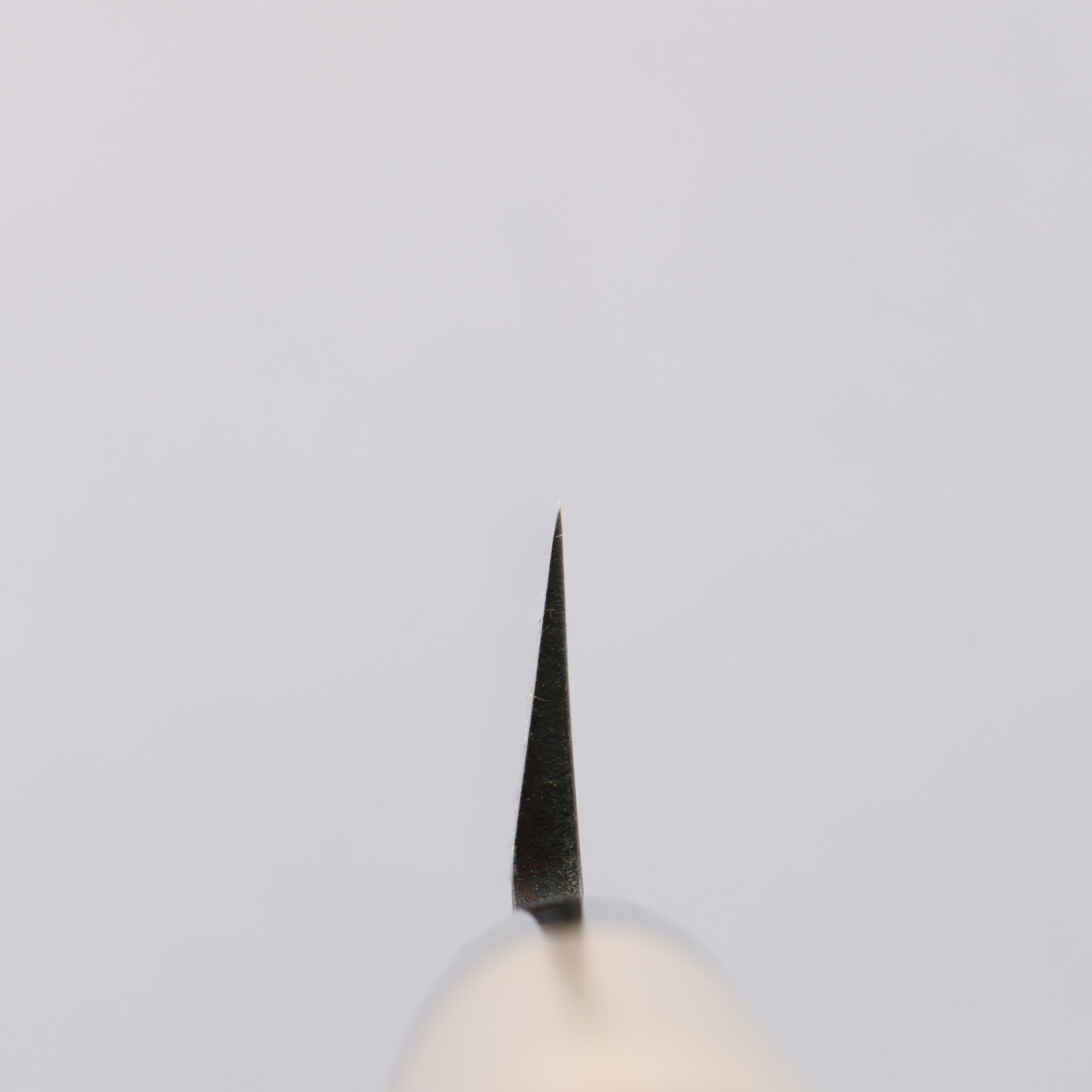 Seisuke Molybdenum Kasumitogi Yanagiba Magnolia Handle - Seisuke Knife
