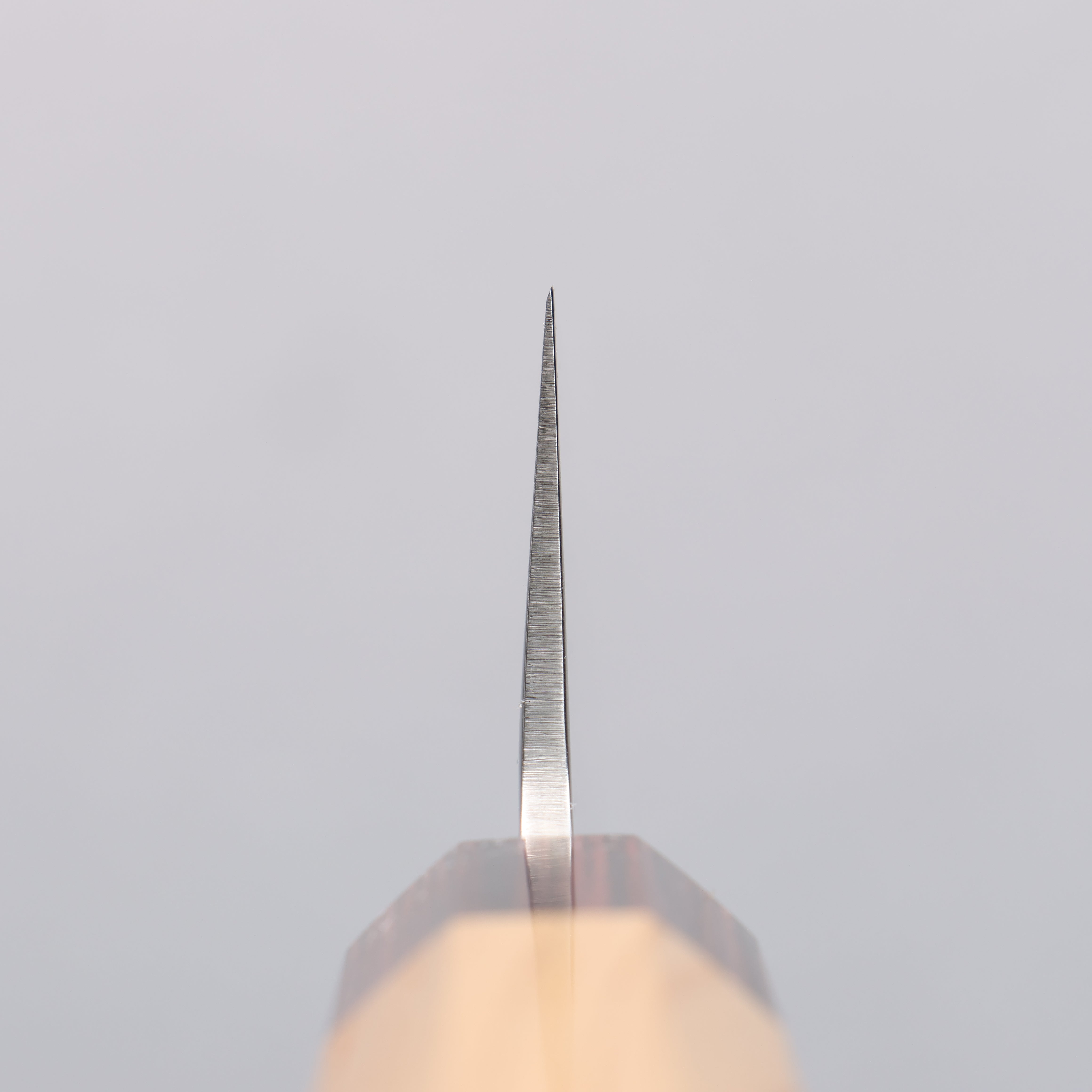 Sakai Takayuki VG10 33 Layer Damascus Sabaki 180mm Keyaki Elm Handle - Seisuke Knife