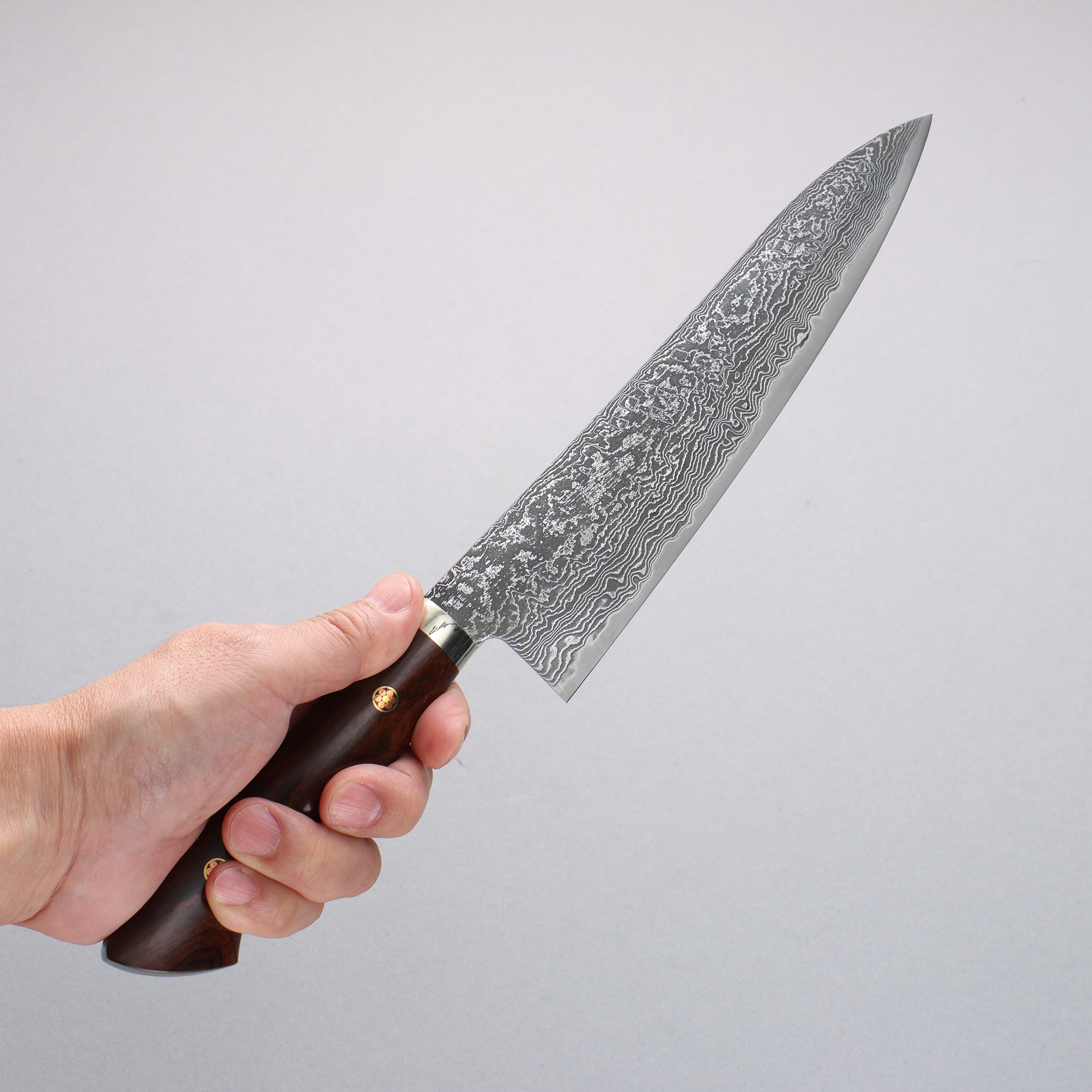 Shigeki Tanaka SG2 Damascus Gyuto 210mm Ironwood Handle - Seisuke Knife