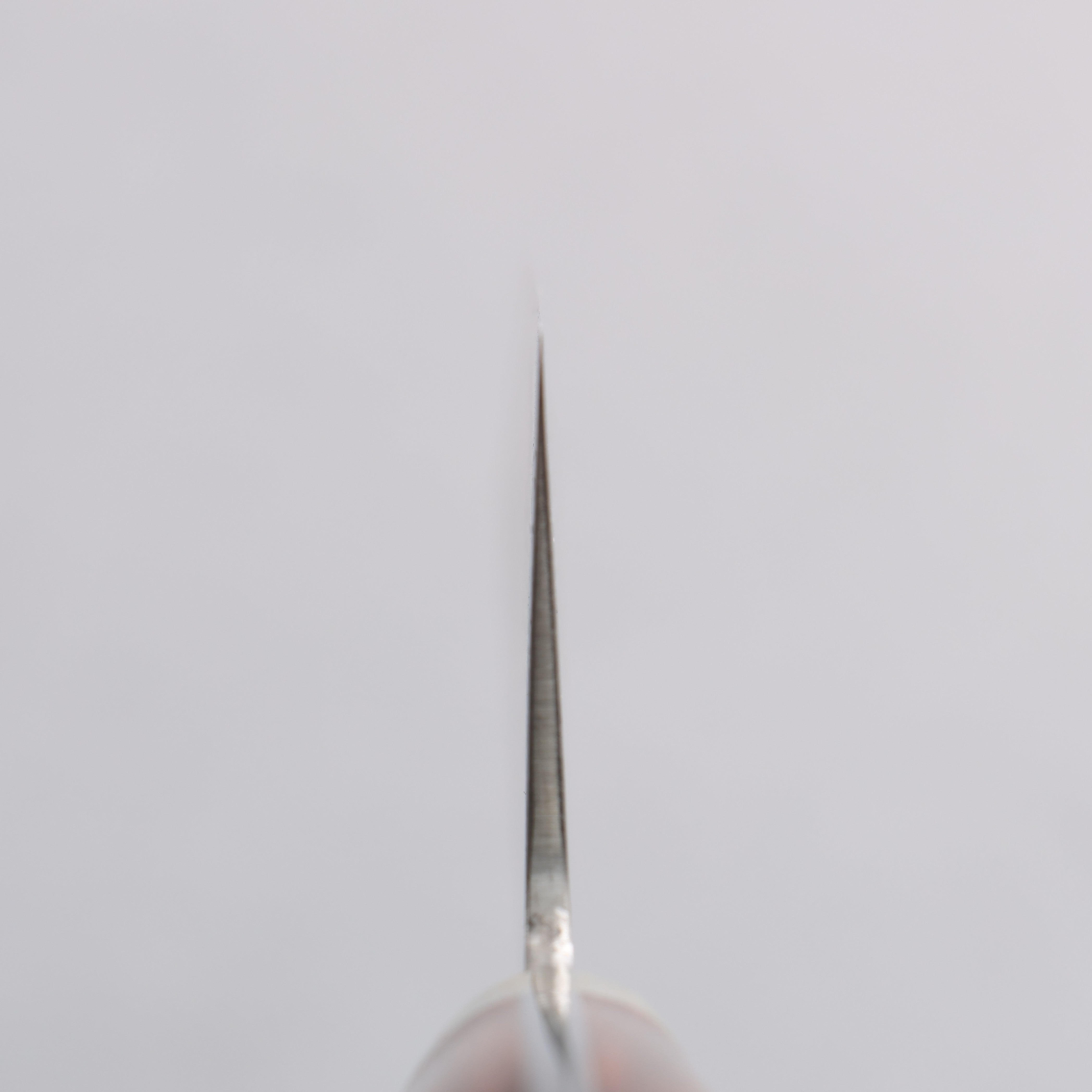 Shigeki Tanaka SG2 Damascus Gyuto 210mm Ironwood Handle - Seisuke Knife