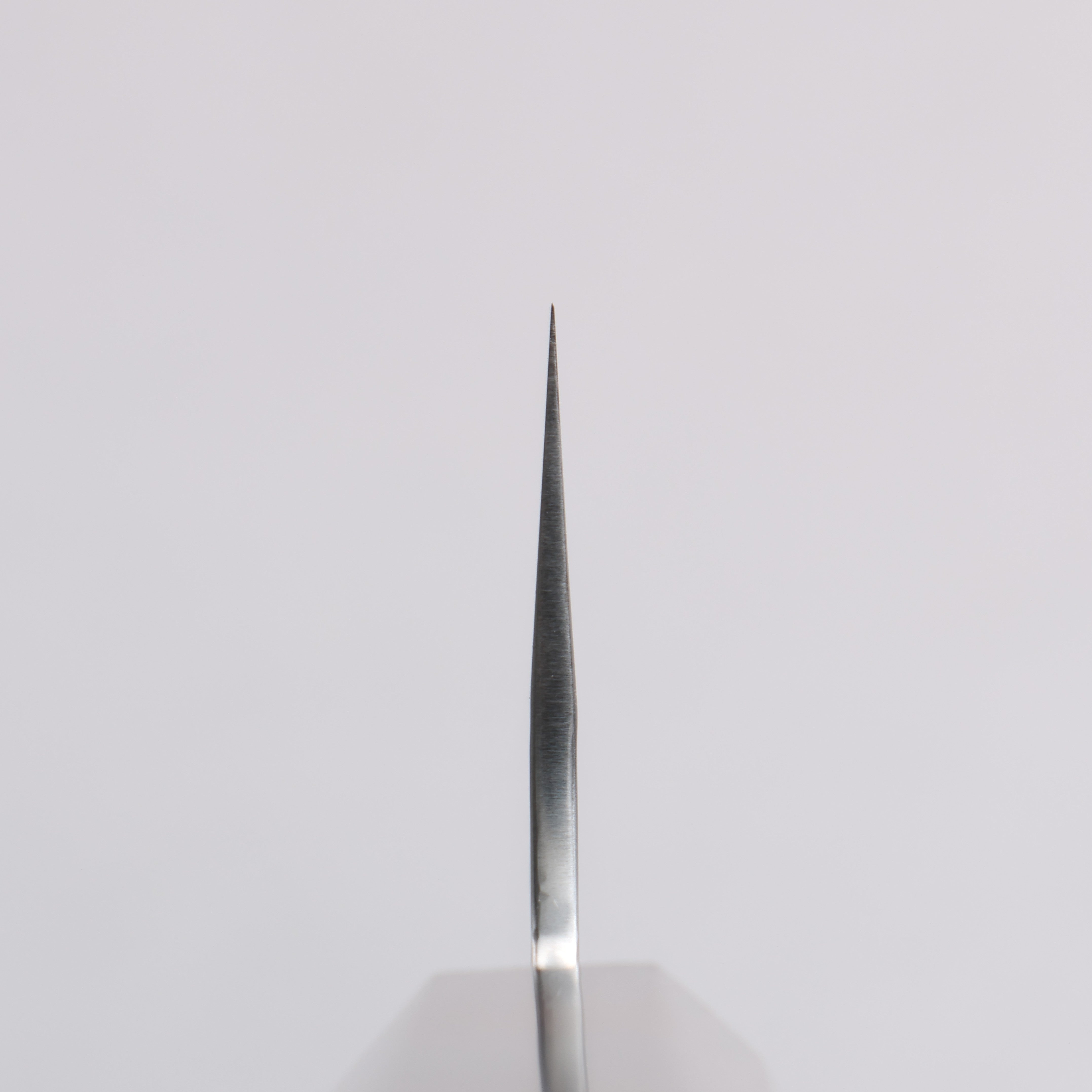 Makoto Kurosaki Coreless Hammered Gyuto 210mm Ebony Wood Handle VG2/VG10 - Seisuke Knife