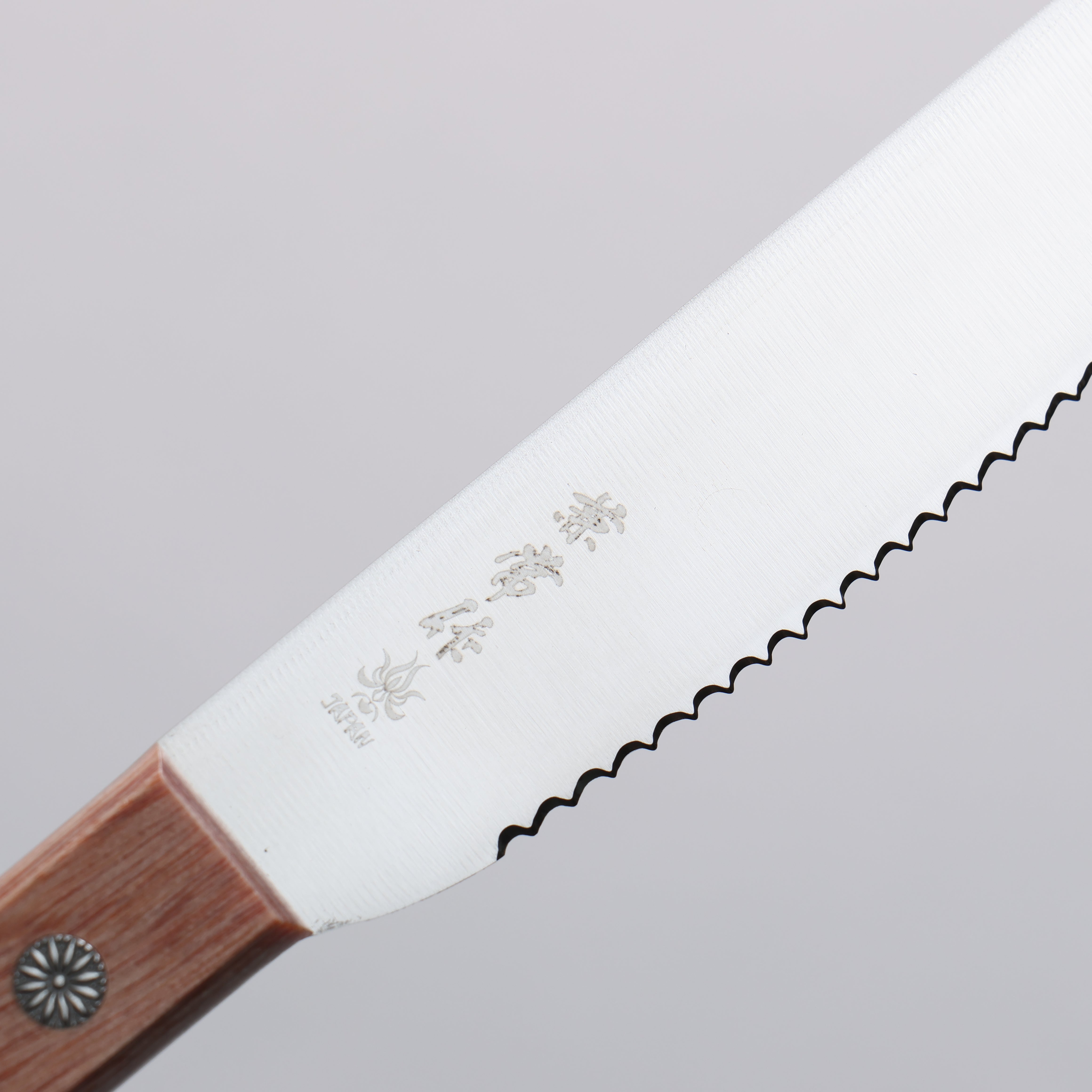 Kanetsune DSR-1K6 Spread Knife 110mm Pakka wood Handle - Seisuke Knife