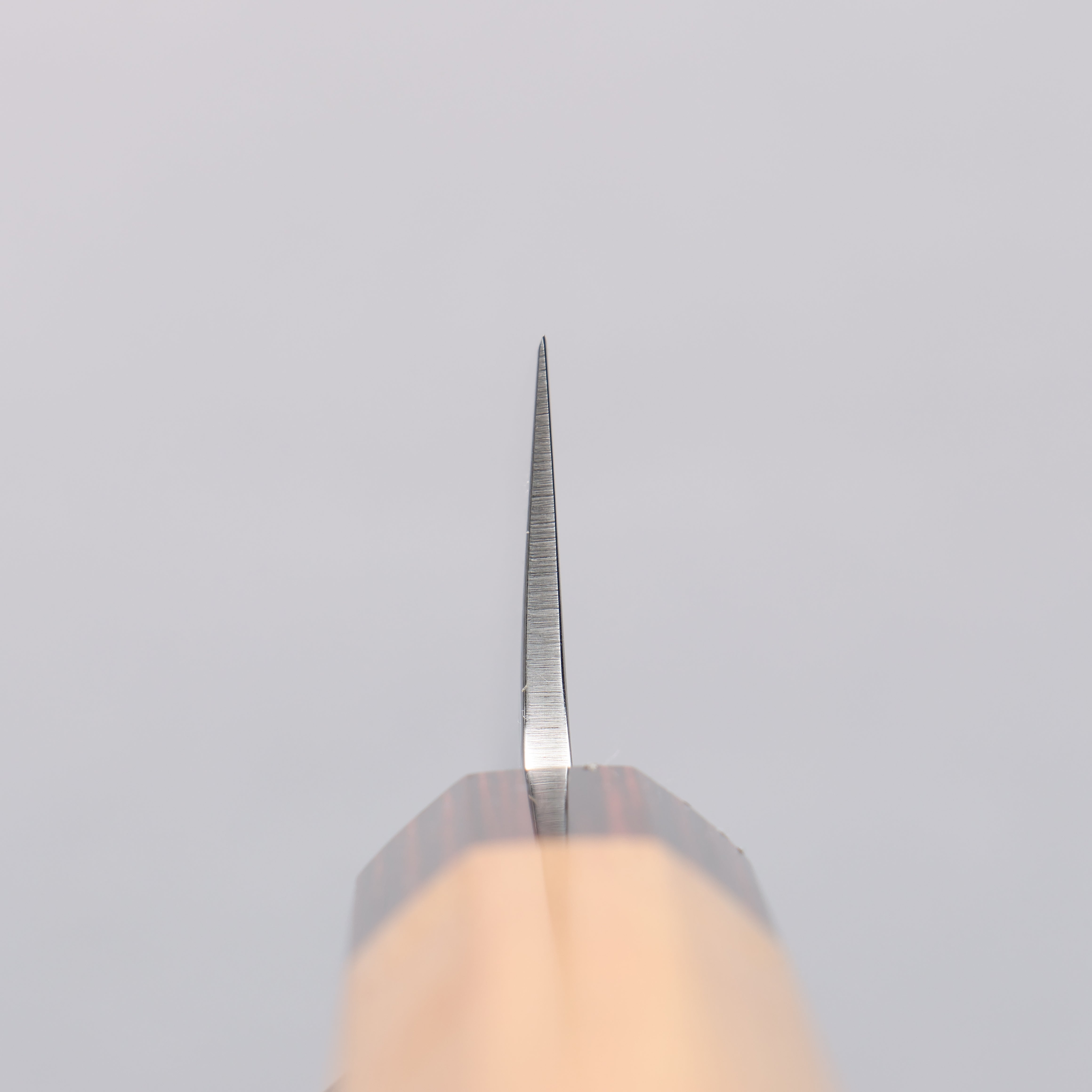 Sakai Takayuki VG10 33 Layer Damascus Sabaki 150mm Keyaki Elm Handle - Seisuke Knife