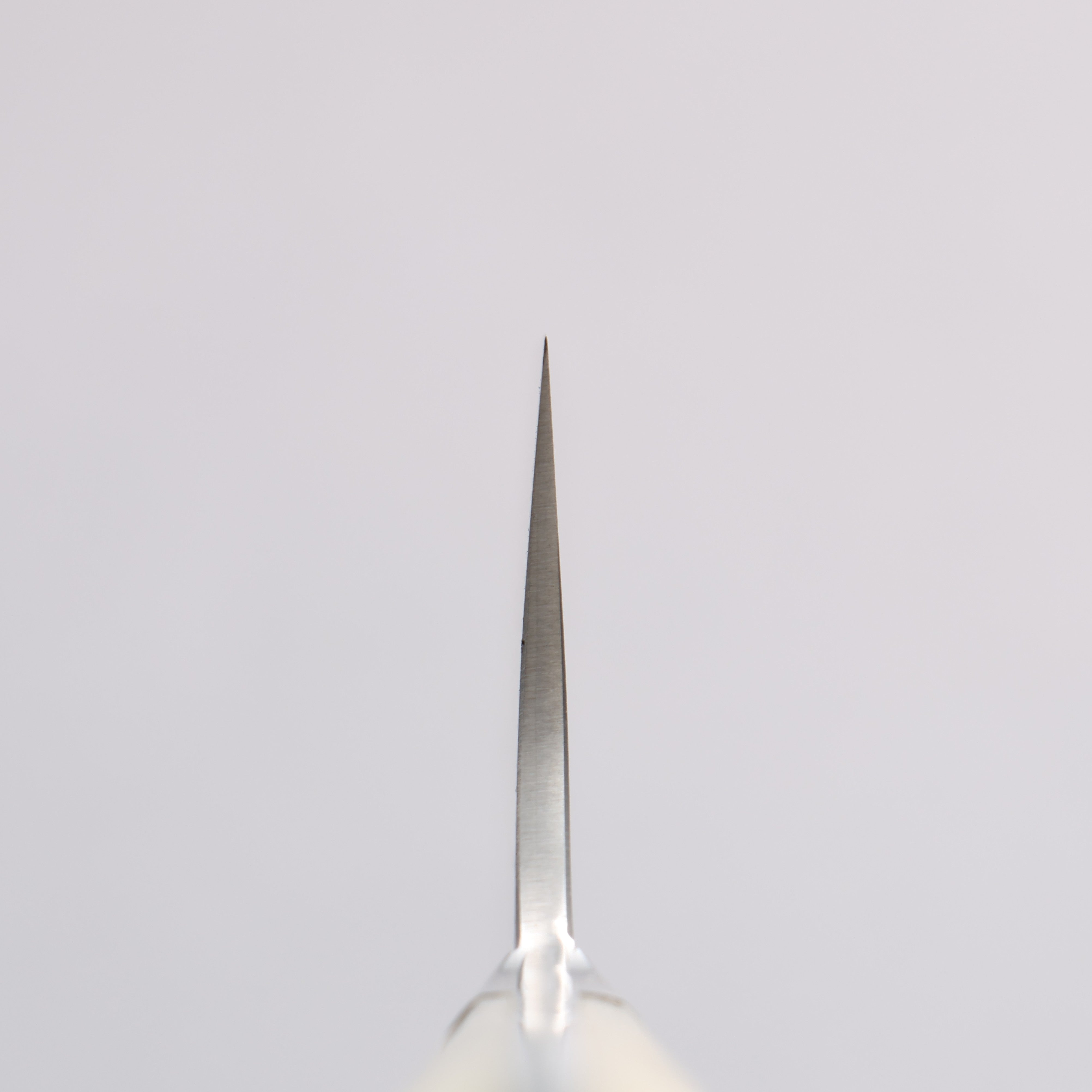Takeshi Saji SG2 Black Damascus Gyuto 270mm White Deer Horn Handle - Seisuke Knife