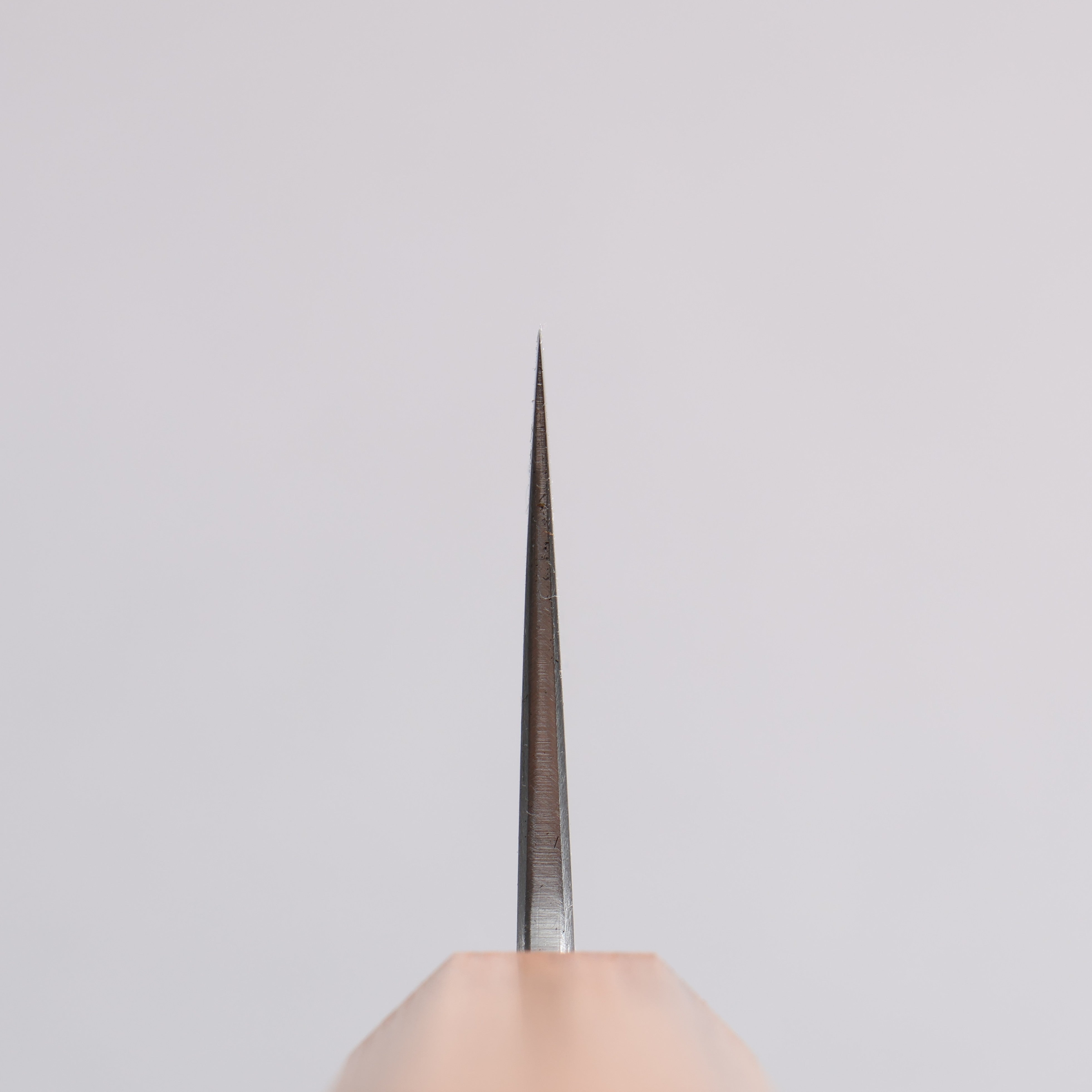 Seisuke Silver Steel No.3 Migaki Polish Finish Gyuto 210mm White Oak Handle - Seisuke Knife